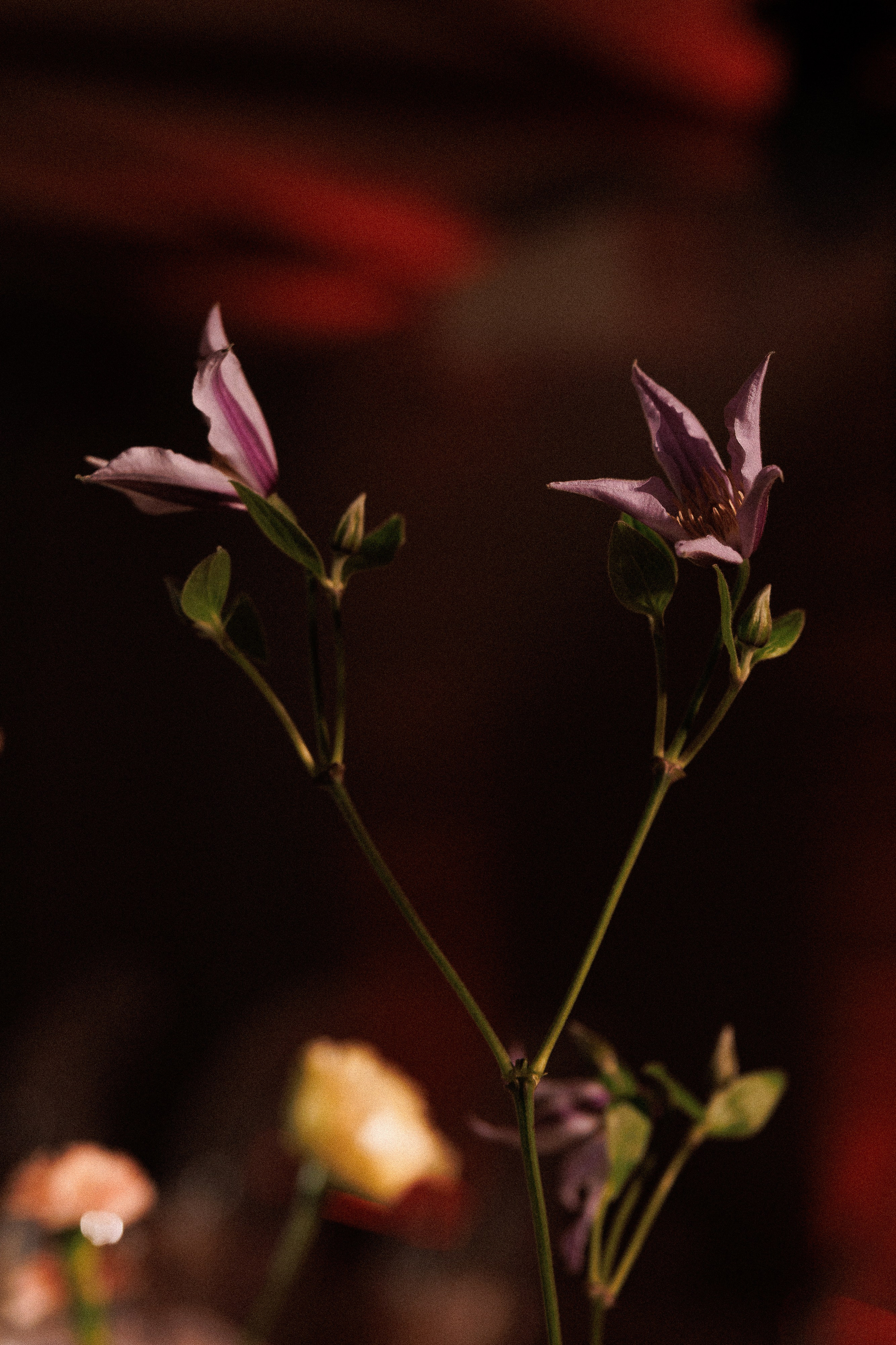 A & S. Свадебный и event-фотограф Иван Волнухин