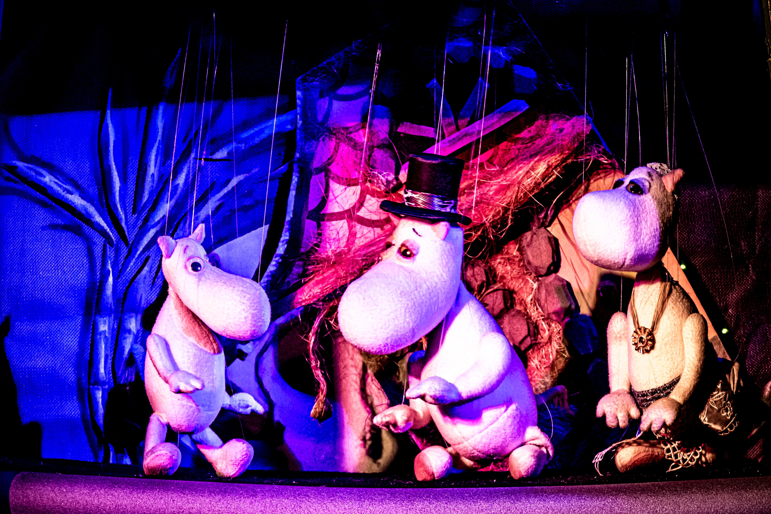 «Муми тролли и большое наводнение». Фотограф в Сочи Юрий Шептаев