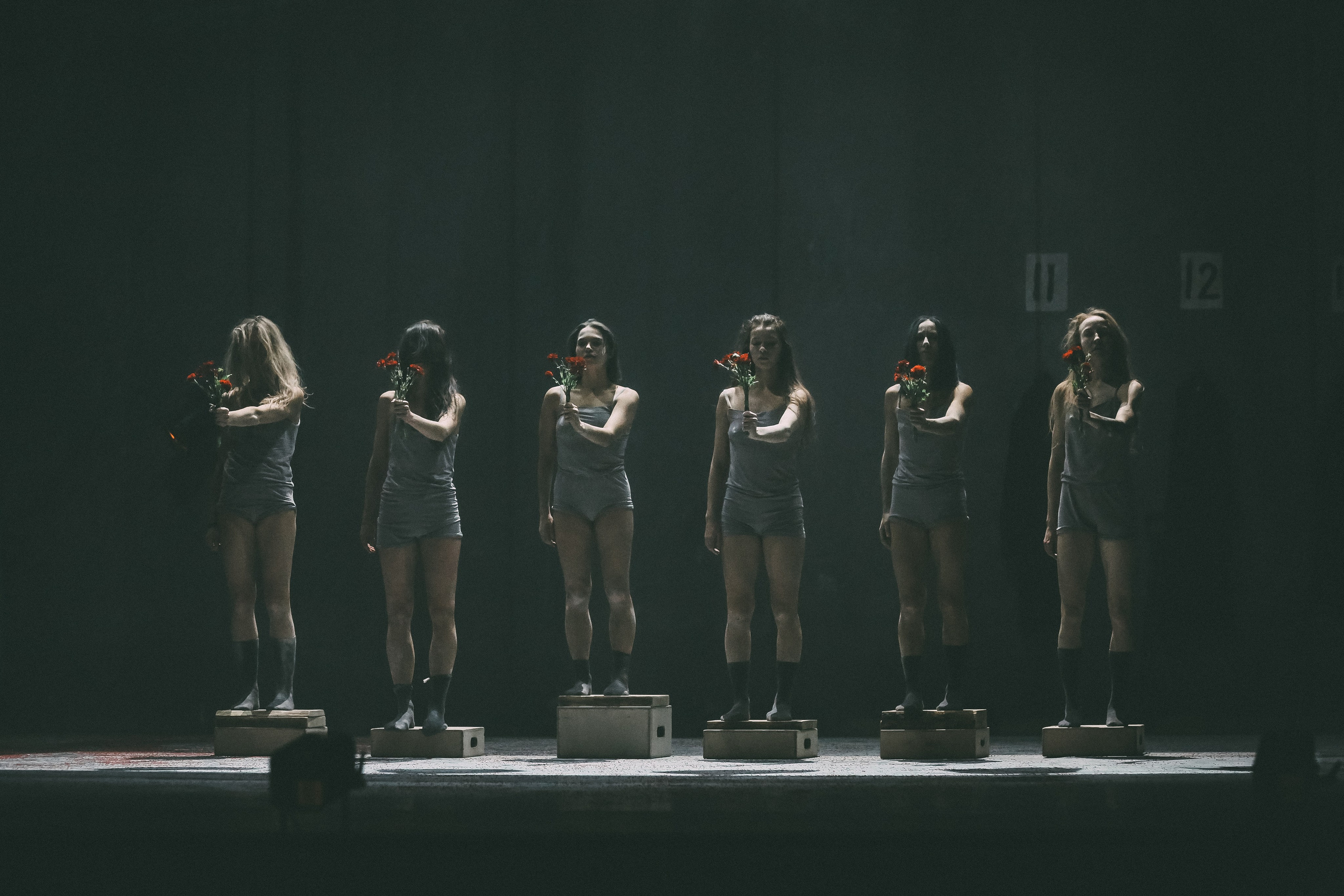 «Весна священная» и «Свадебка» Стравинского. Дарья Письменюк / Darya Leitstern — фотограф, музыкант, журналист, путешественник