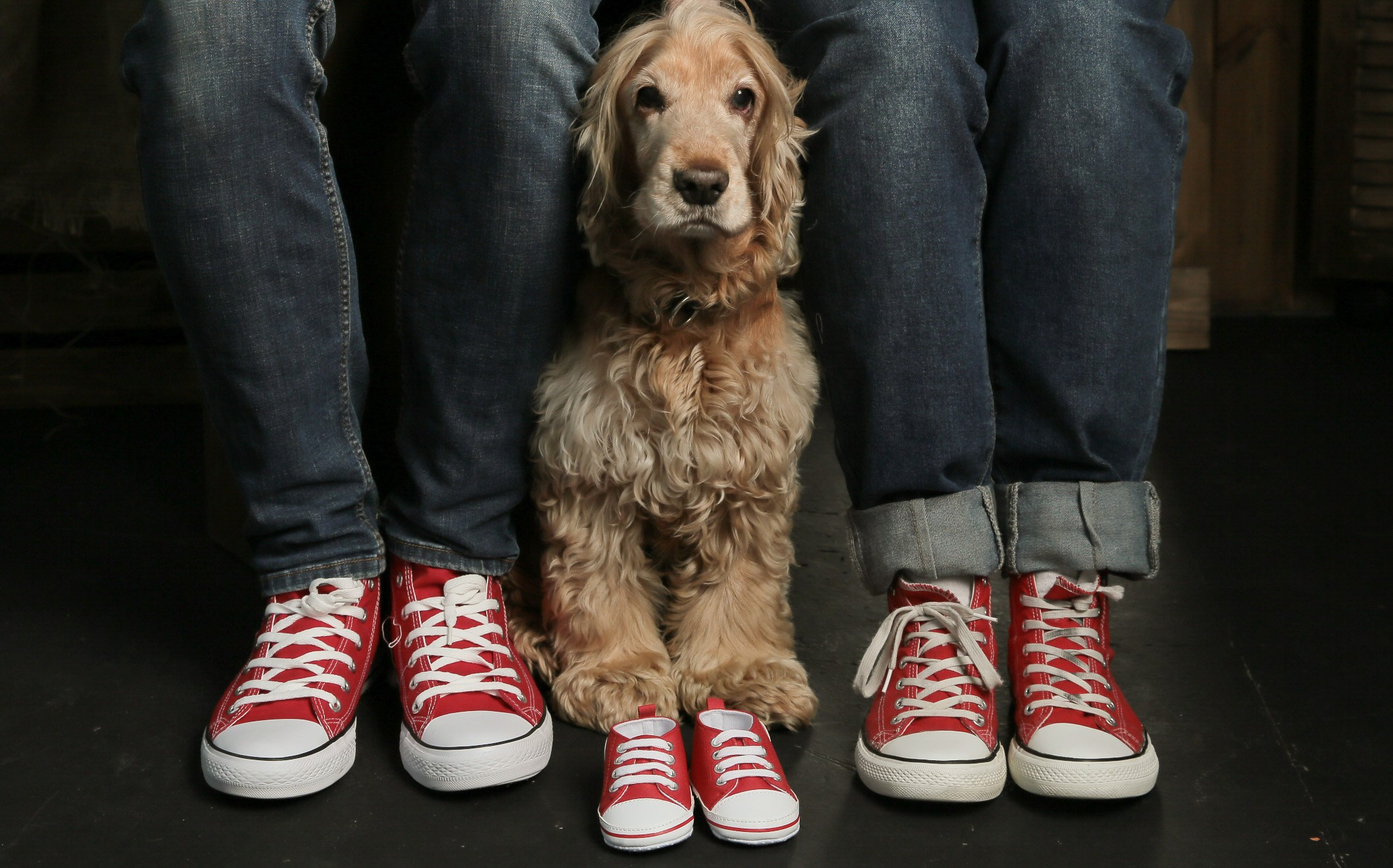 СЕМЕЙНЫЕ ФОТОСЕССИИ. Фотосессии в Санкт-Петербурге со скидкой до -50%