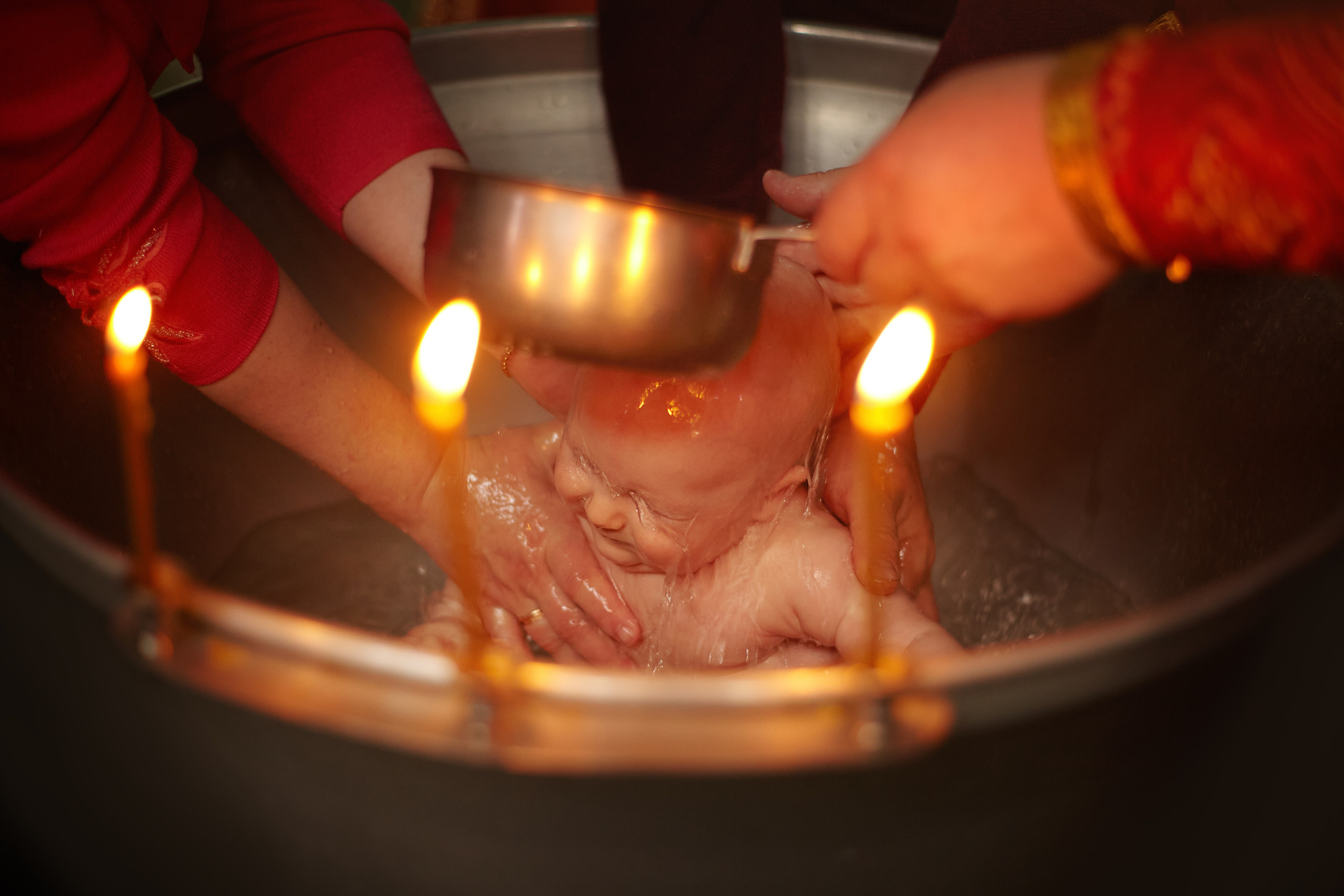 Крещение. Фотограф анималист в Москве Майорова Евгения