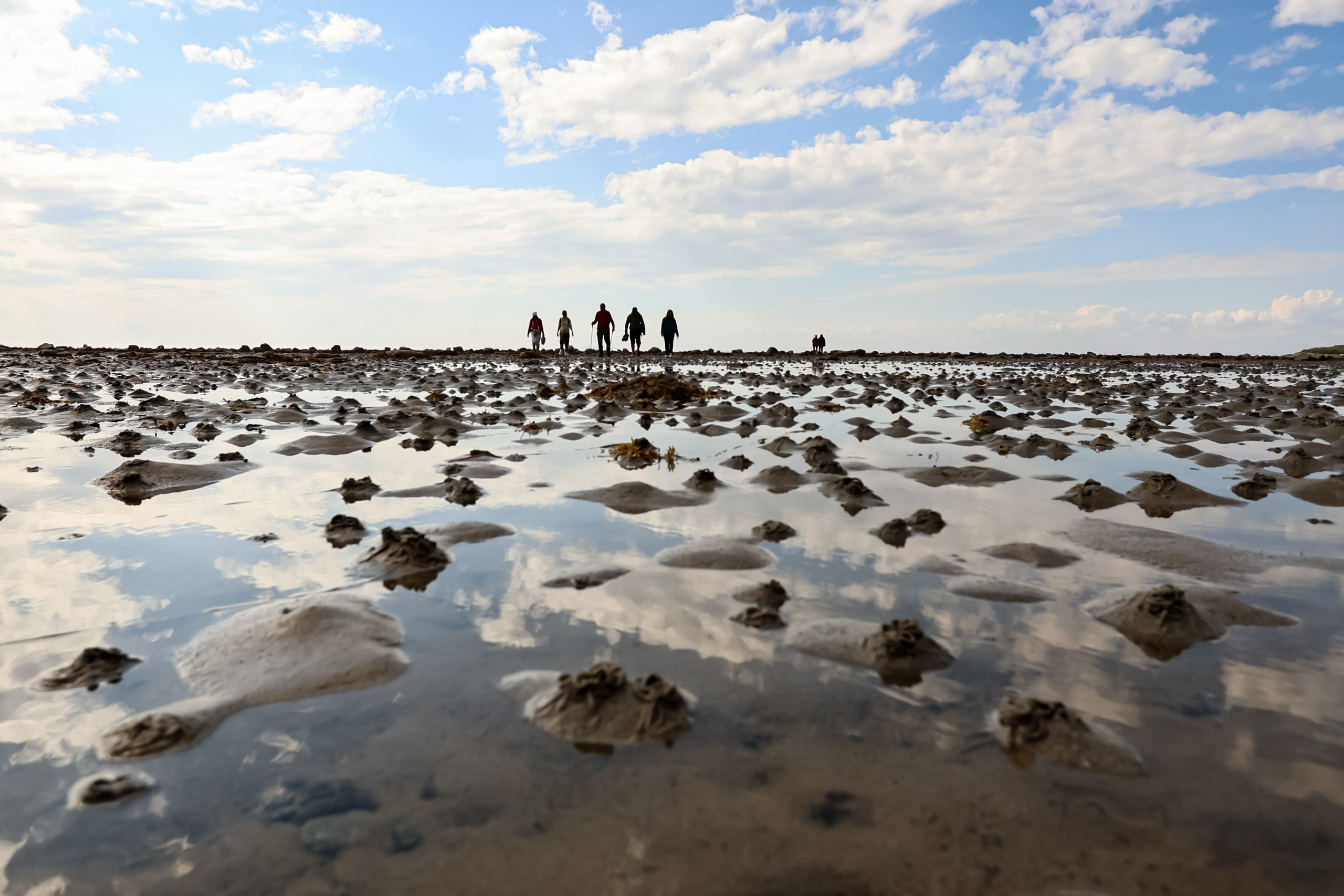 Travel. Индивидуальная и семейная съёмка. Москва, Наталья Самохвалова