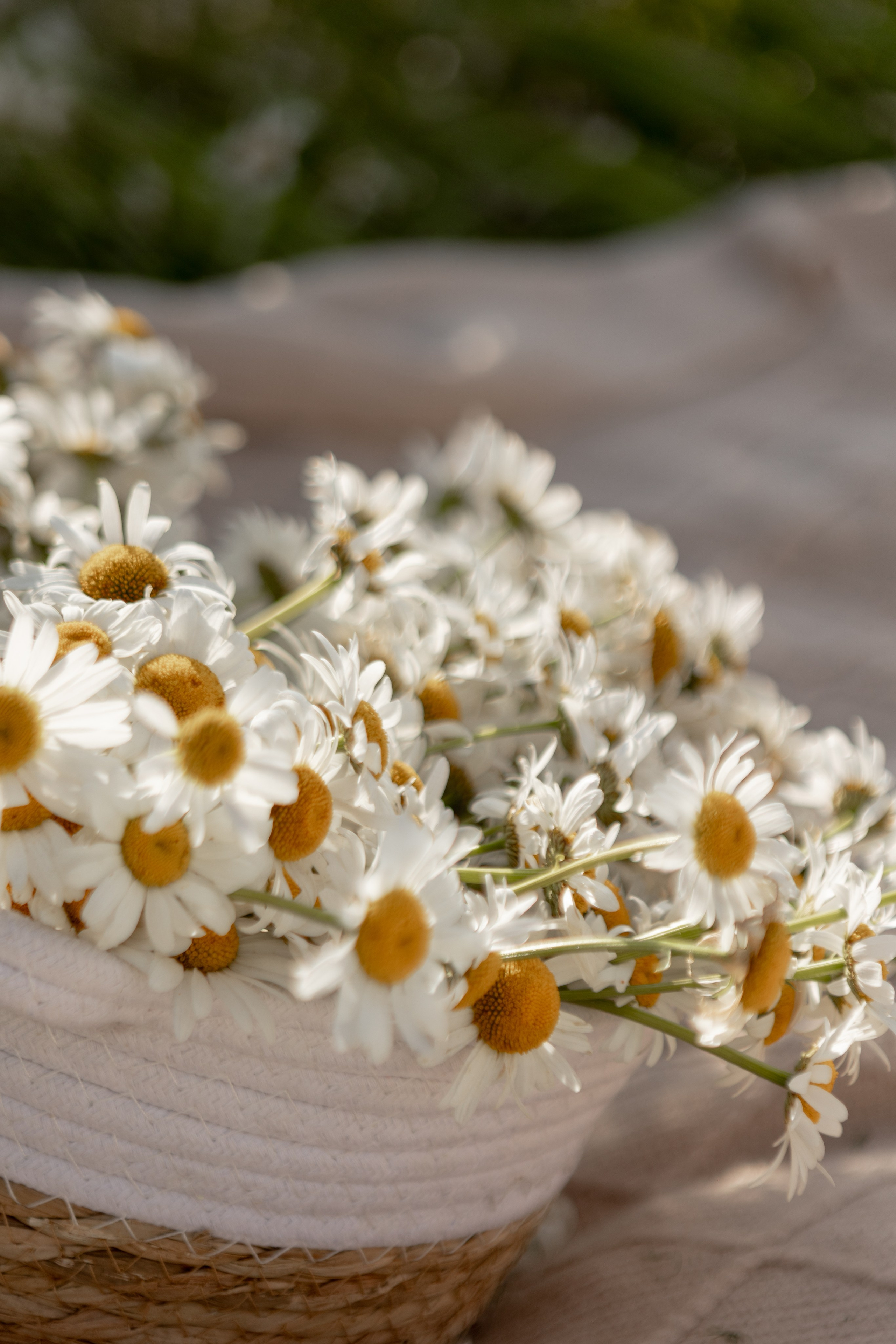 Надежда. Наталья Косьянова. Ваш фотограф. Москва