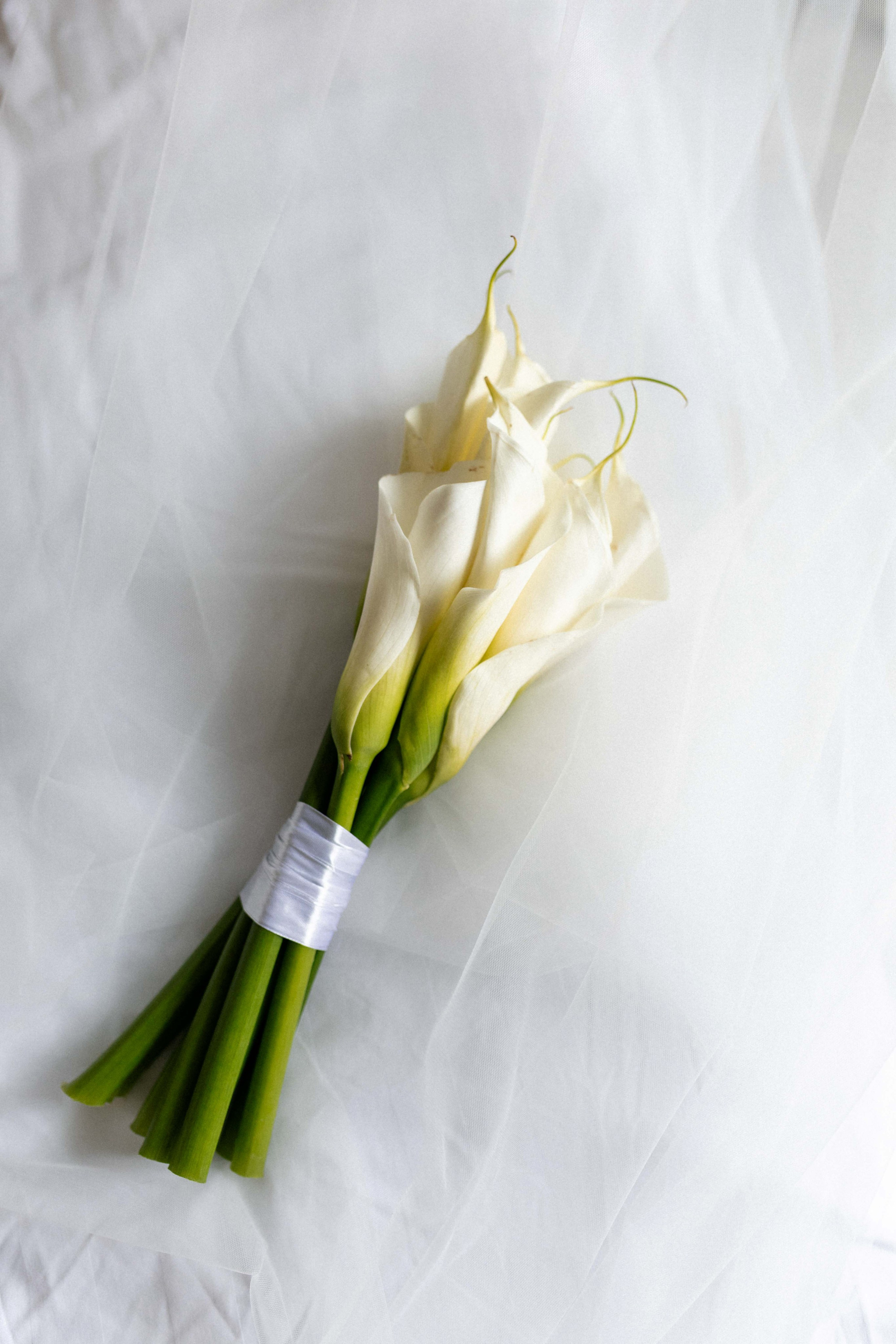 Семён и Арина | Свадьба 8.07.2025. Свадебный фотограф Новосибирск | Готовность фото от 14 дней