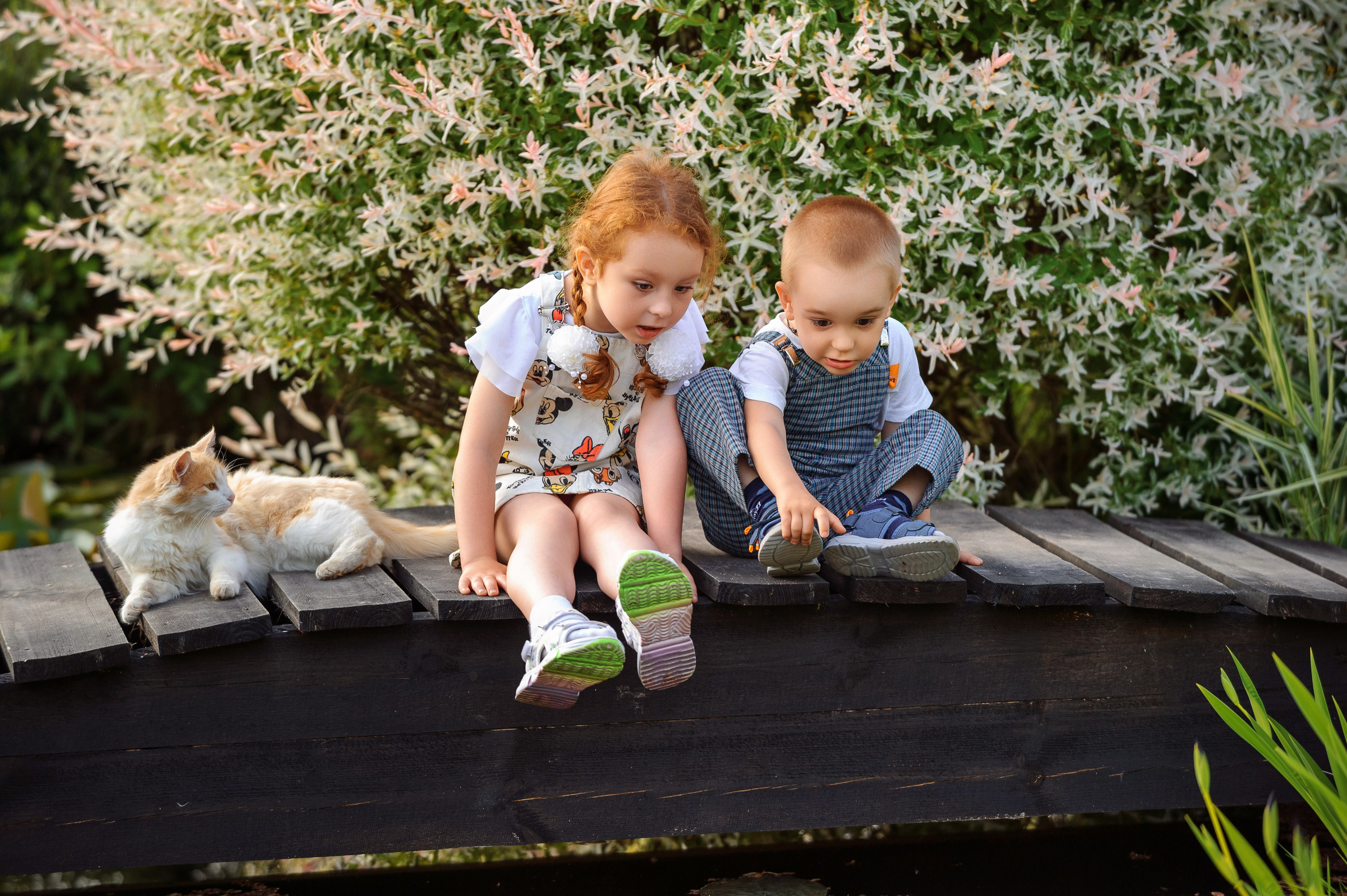 Семейная съёмка. Свадебный и семейный фотограф в Курске Андрей Изотов