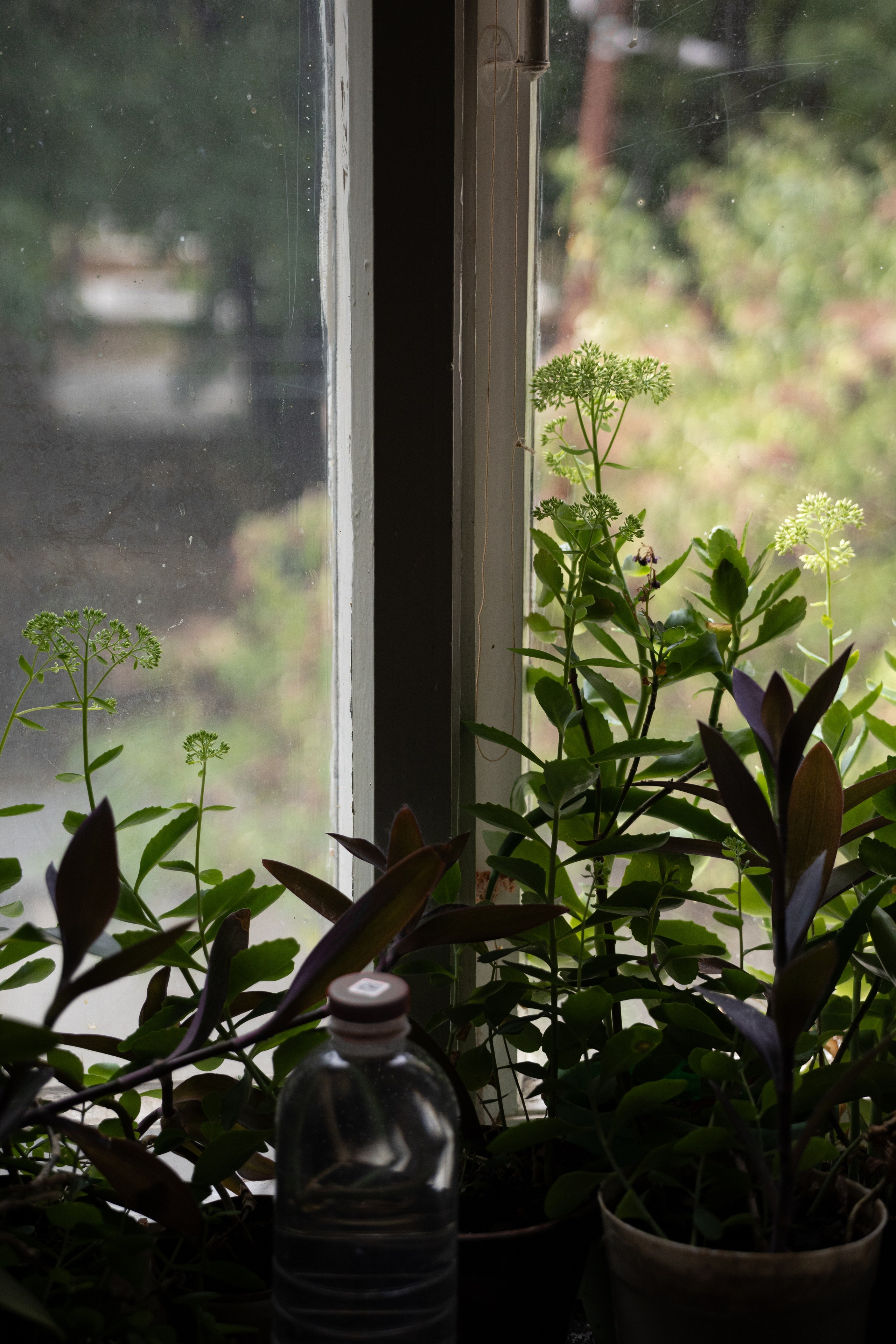Георгий Д. Мария Демьянова — фэшн-фотограф в Москве