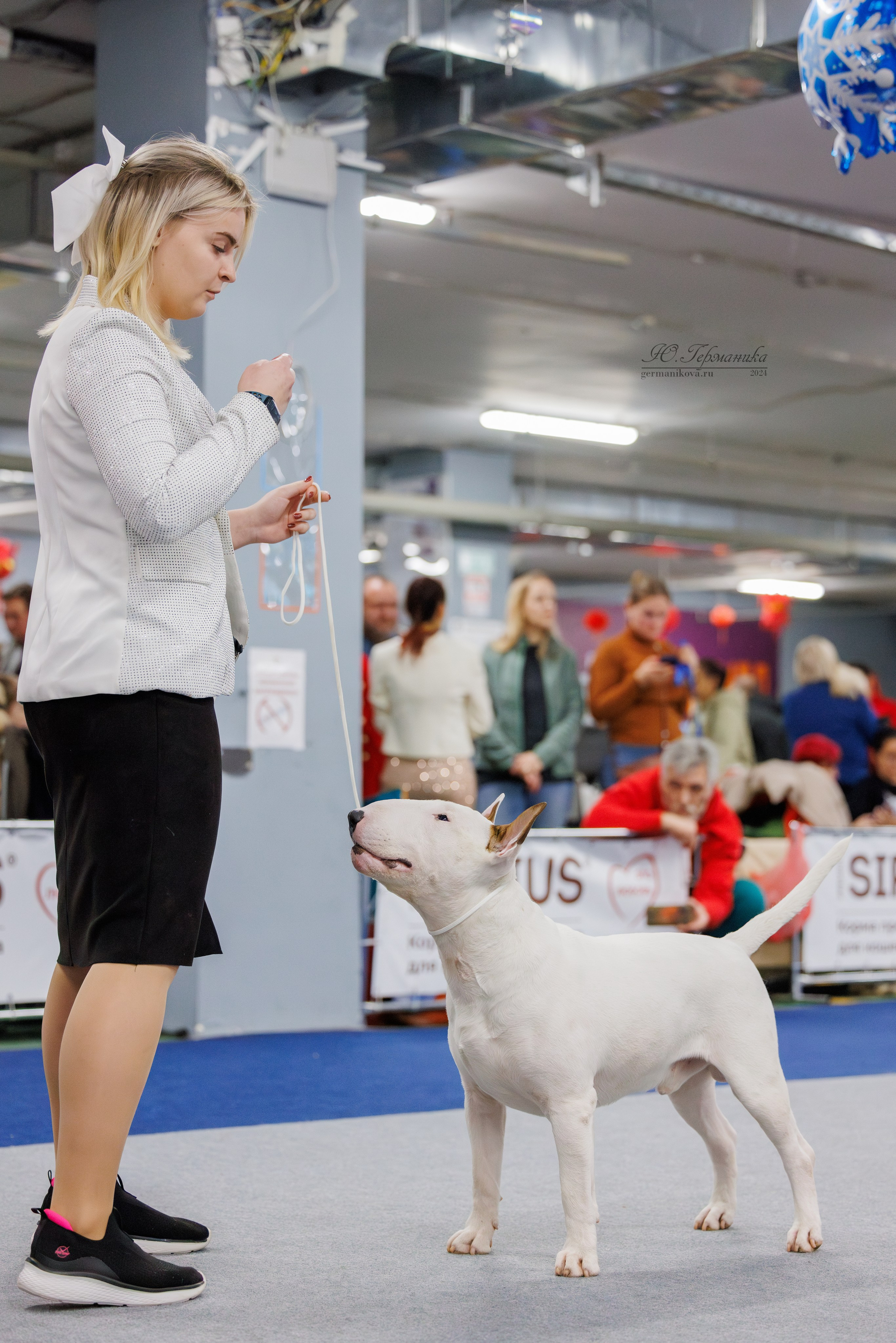 Крокус 21.12.2024,Сфера 29.12.2024. Фотограф-анималист Юлия Германика