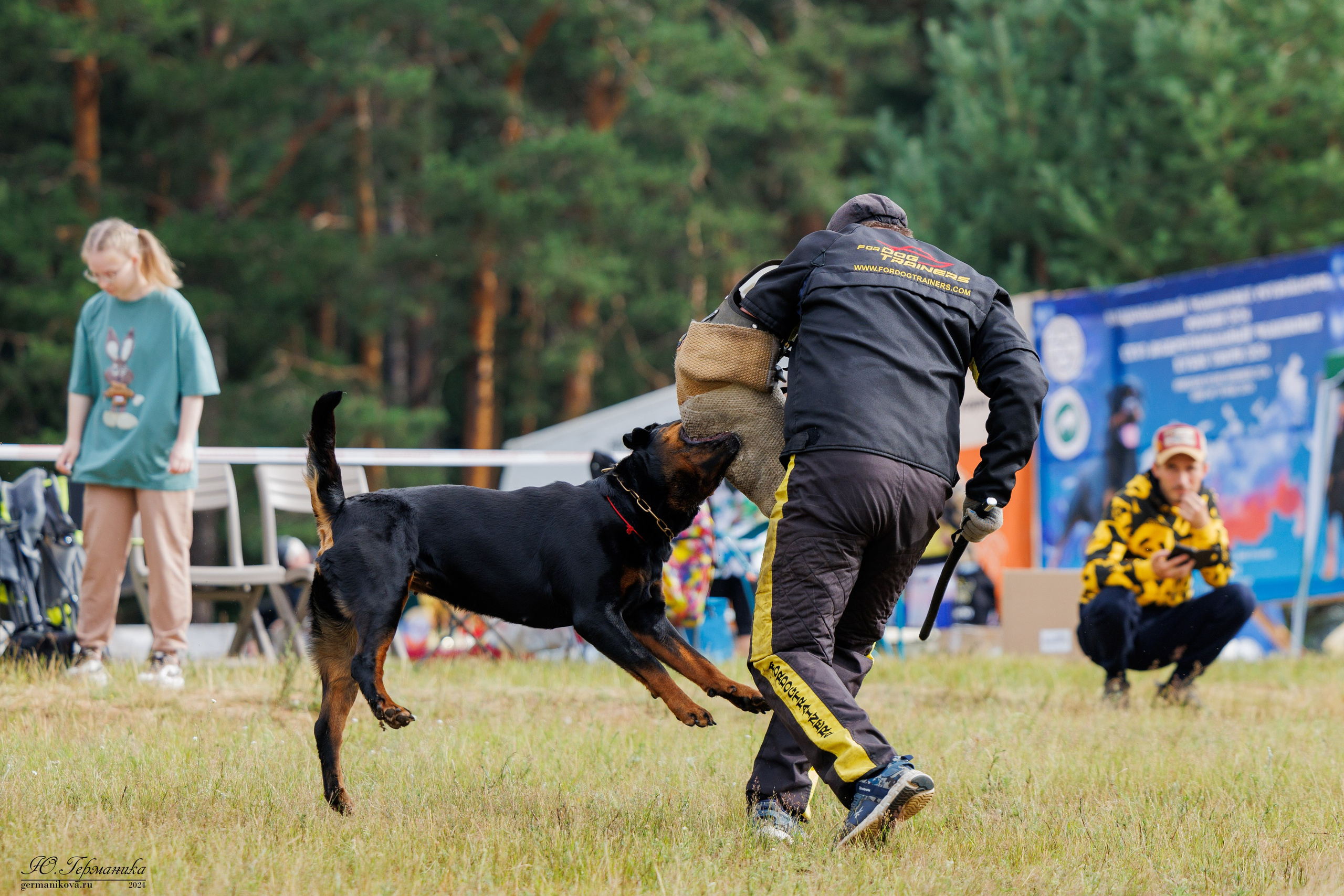 ПК и КЧК ротвейлеры Тверь 6-7.07.2024. Фотограф-анималист Юлия Германика