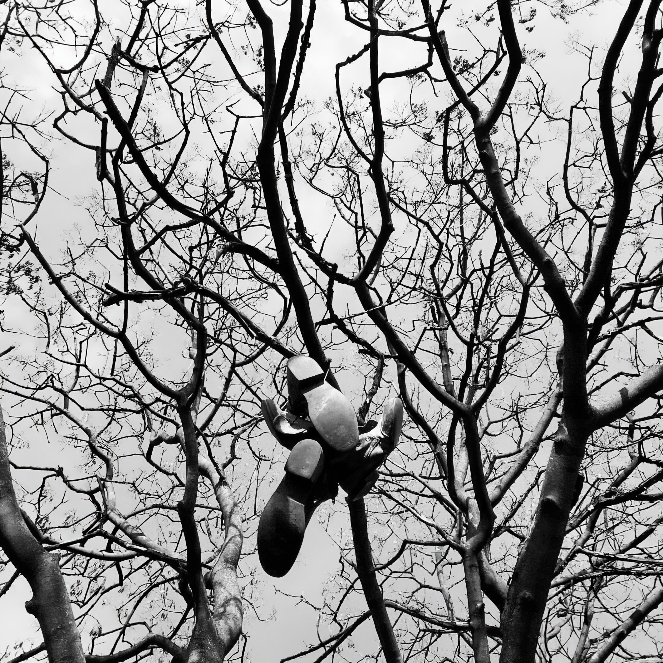 Мобильное. Дмитрий Ратихин. Видеограф и фотограф в Санкт-Петербурге и Москве