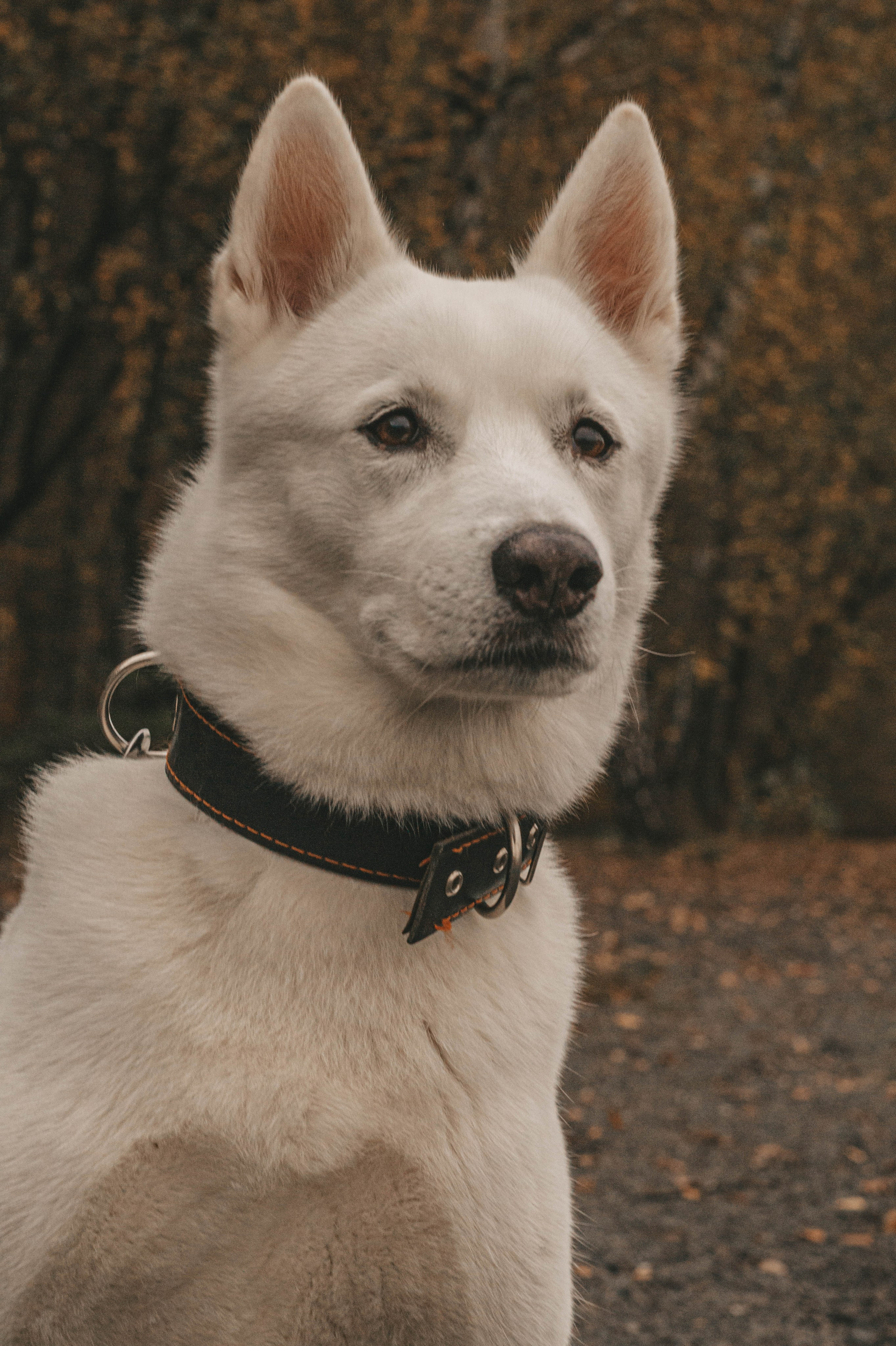 Мария&Бэлла. Профессиональный фотограф