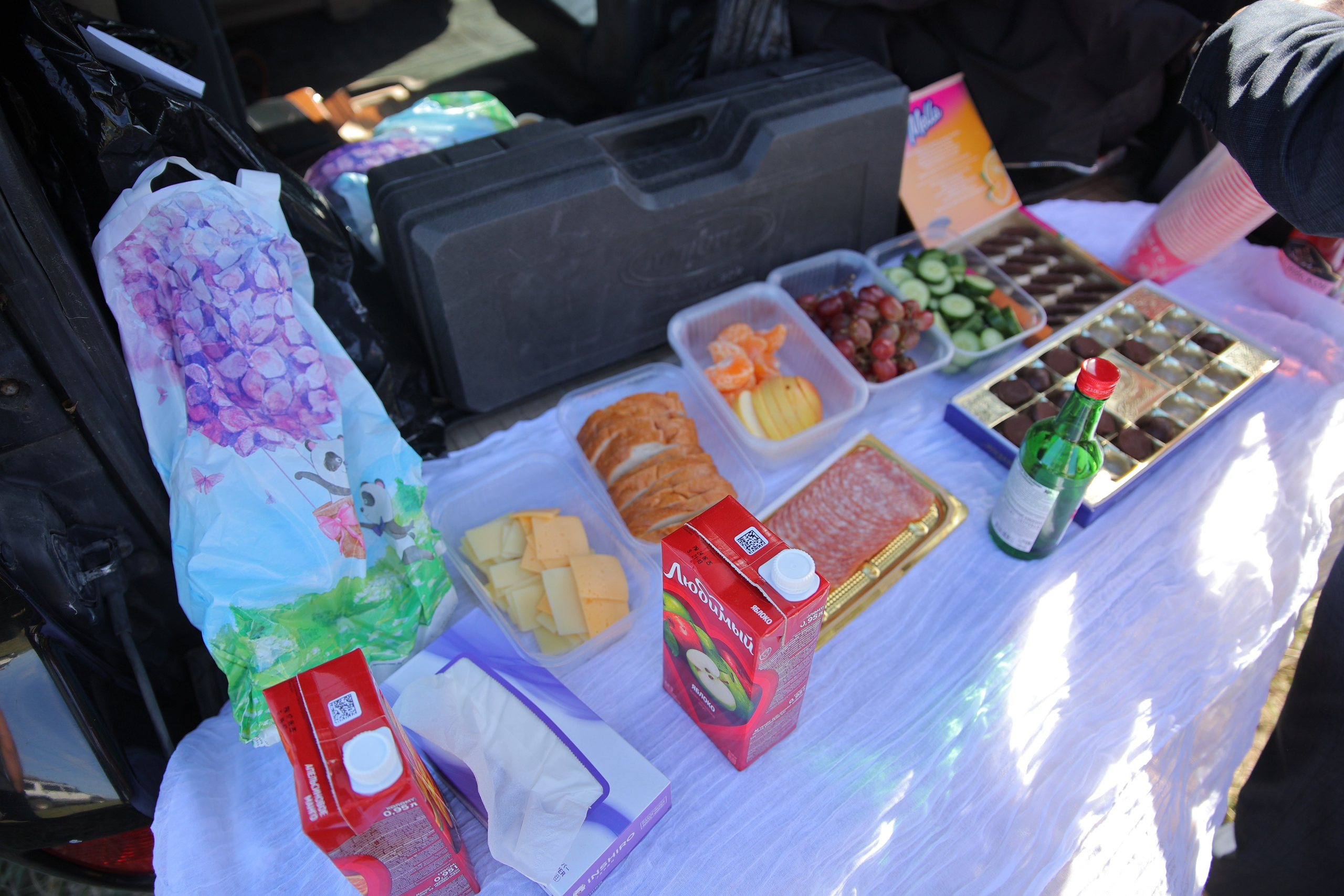 Игорь & Влада