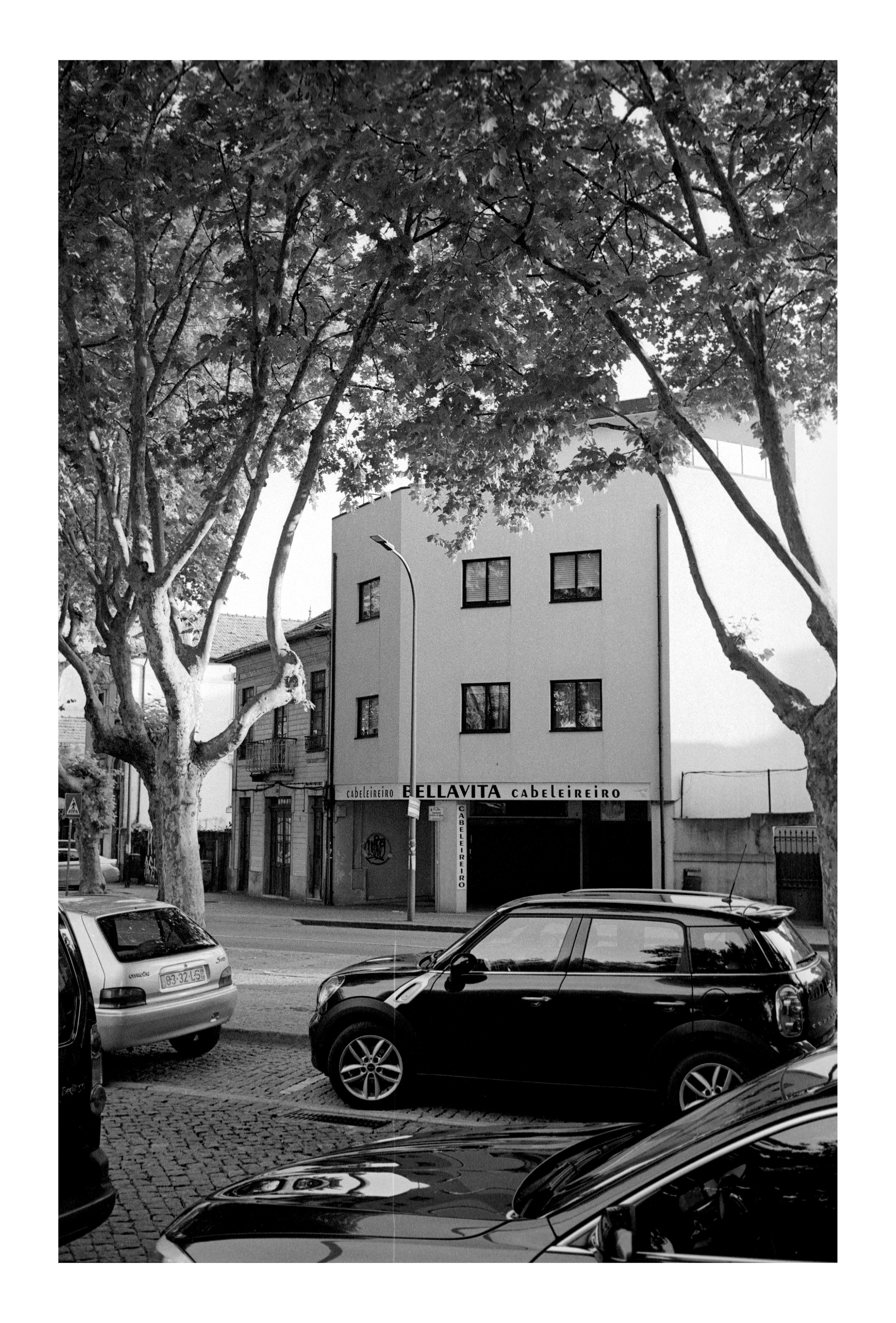 Porto 2023. Dima Voronetsky