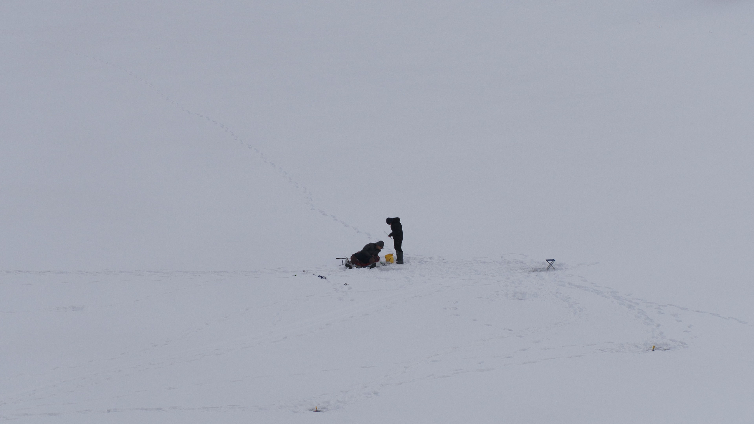 Как фотографировать зимой: настройки камеры и обработка снега в Lightroom | Burlaka