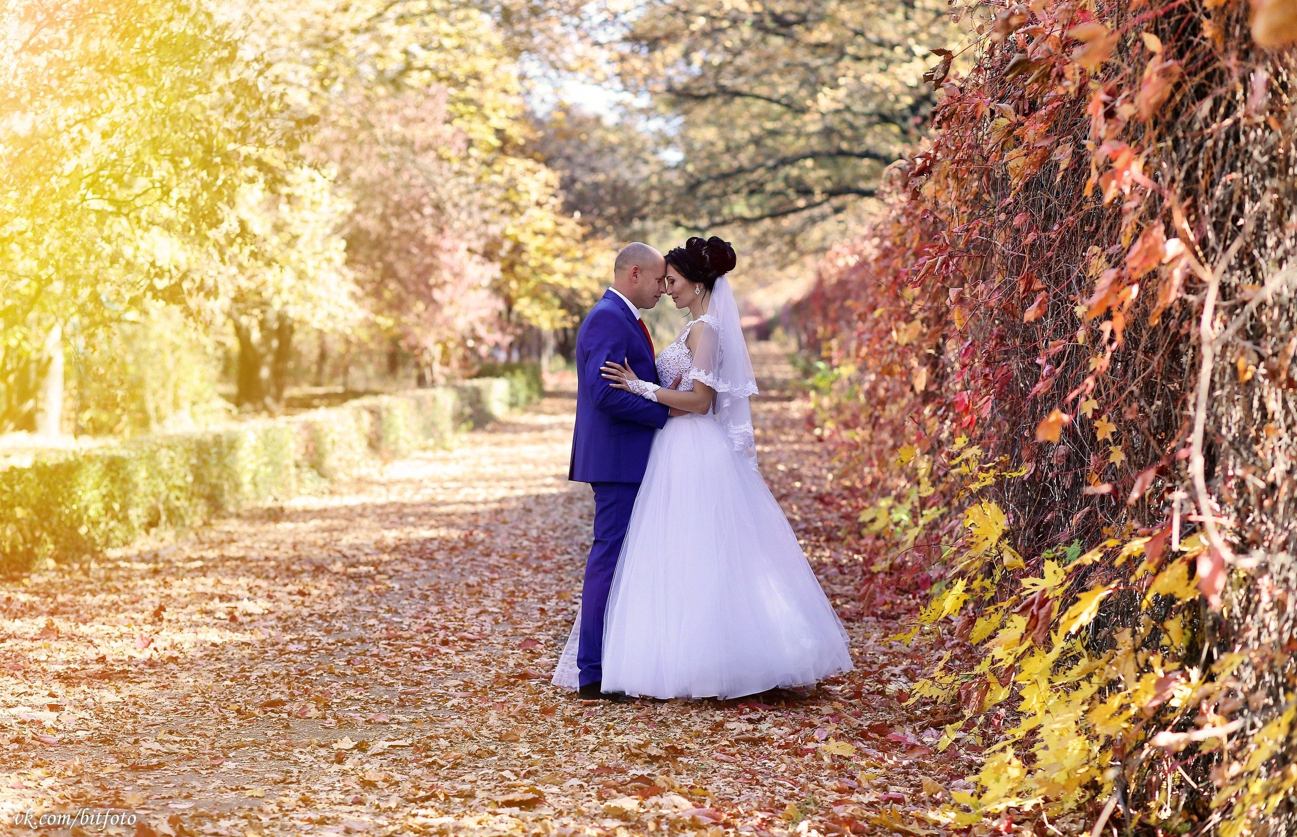 Свадебные снимки. Главная