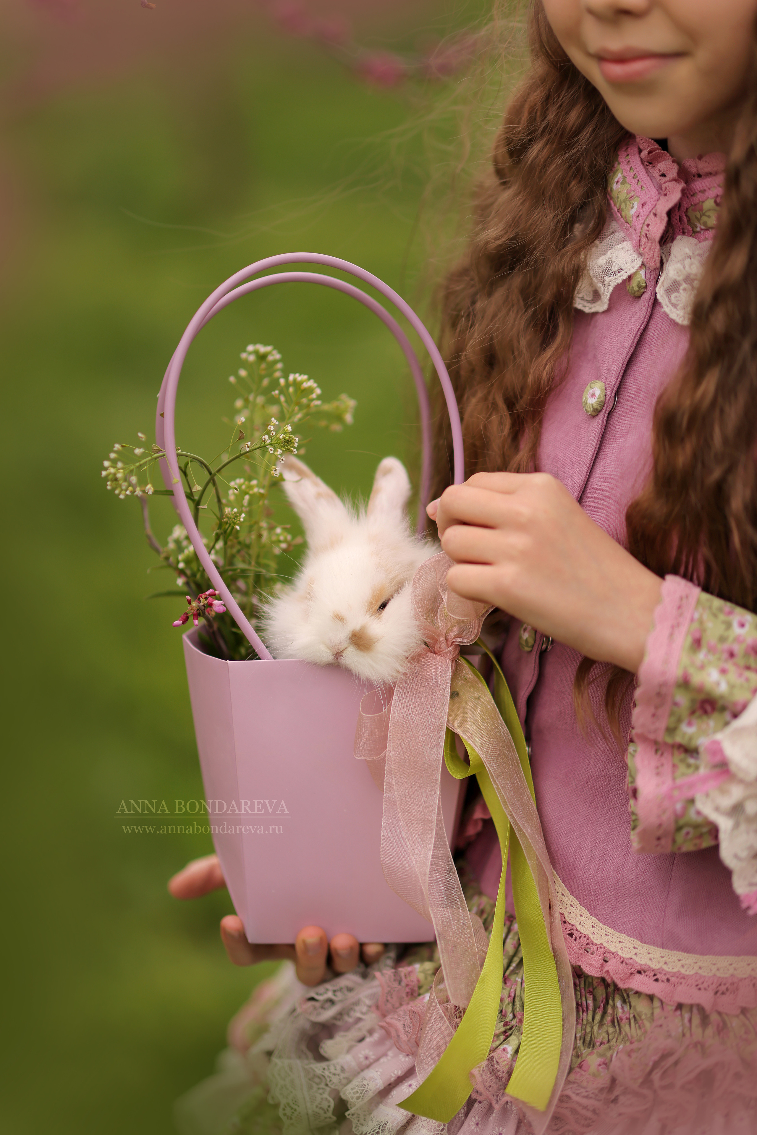 Розовые деревья. Главная