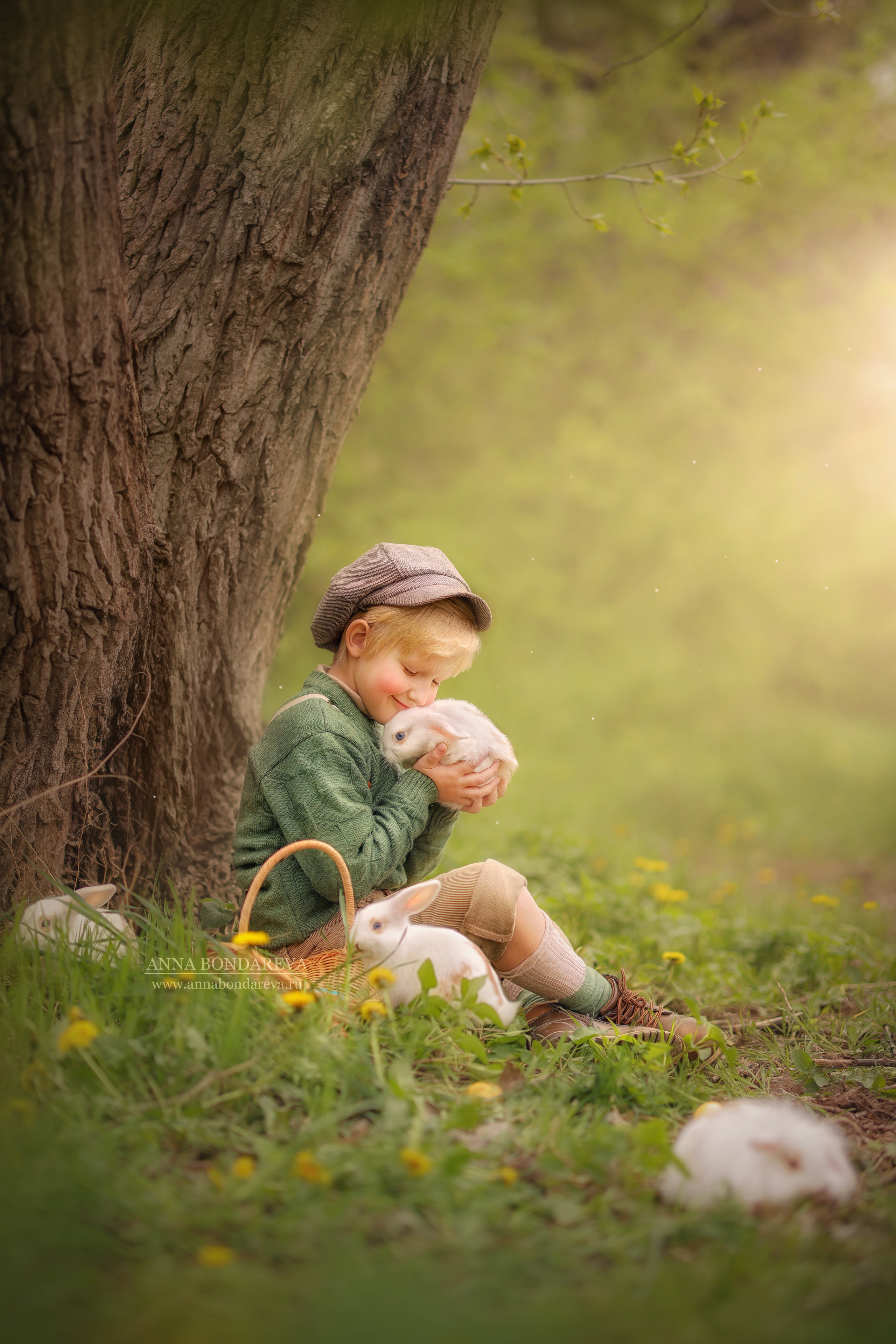 Портфолио. Главная