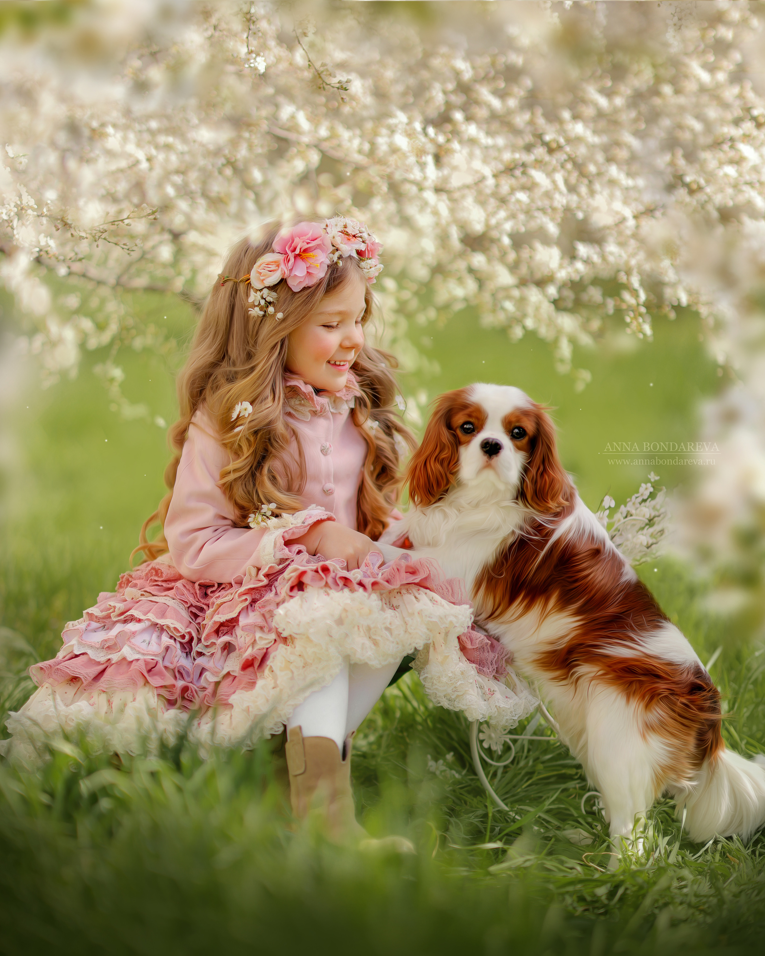 Портфолио. Главная