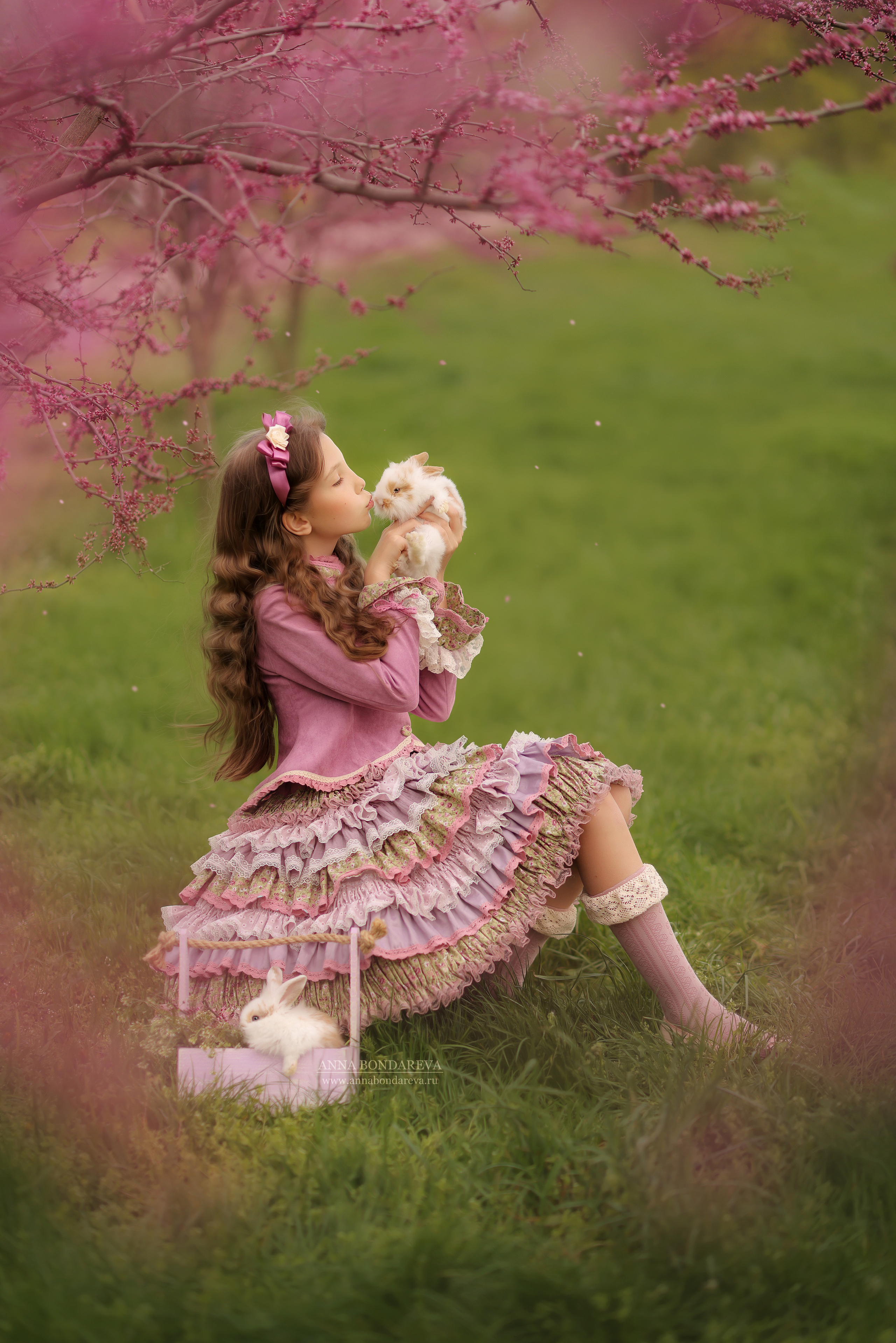 Розовые деревья. Главная