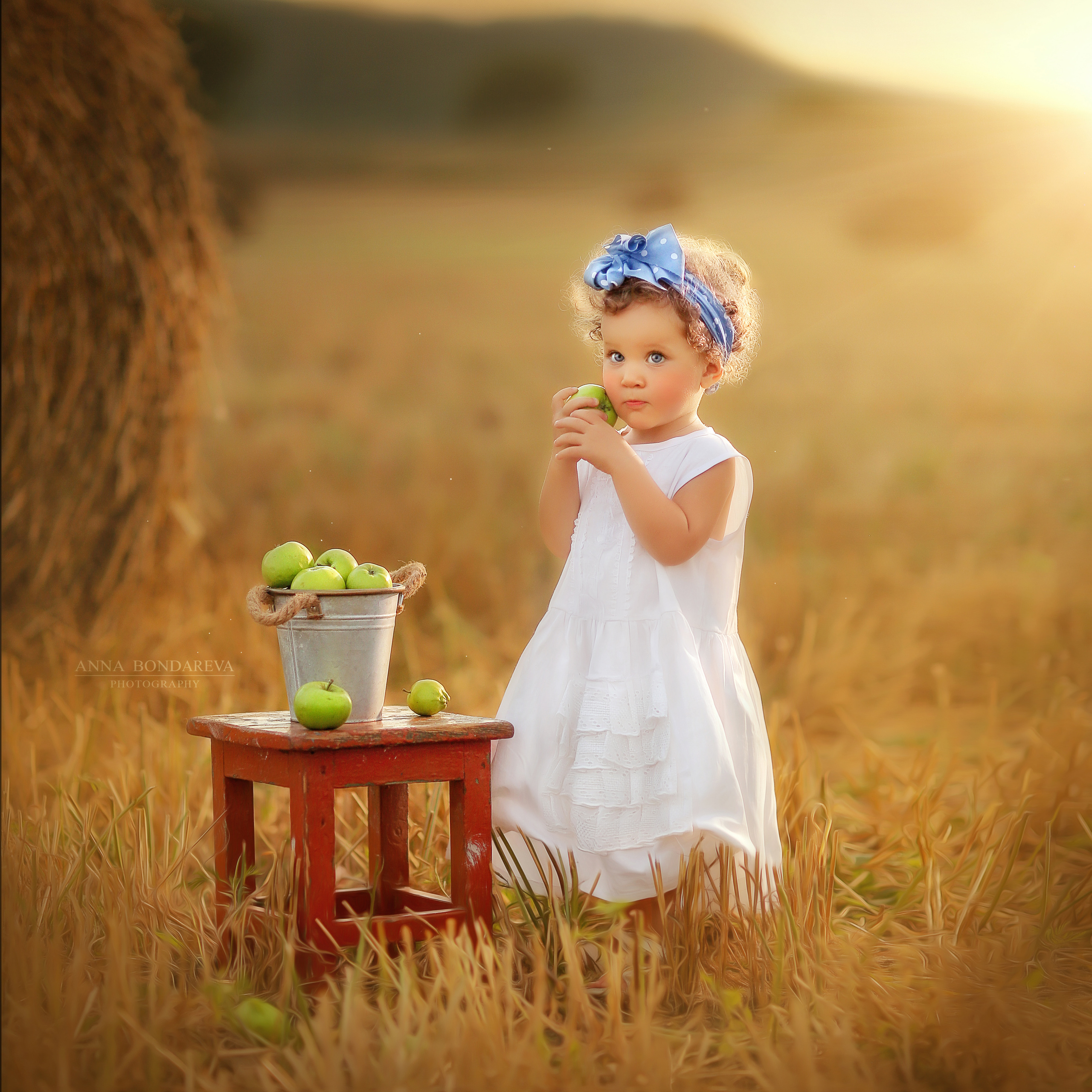 Портфолио. Главная