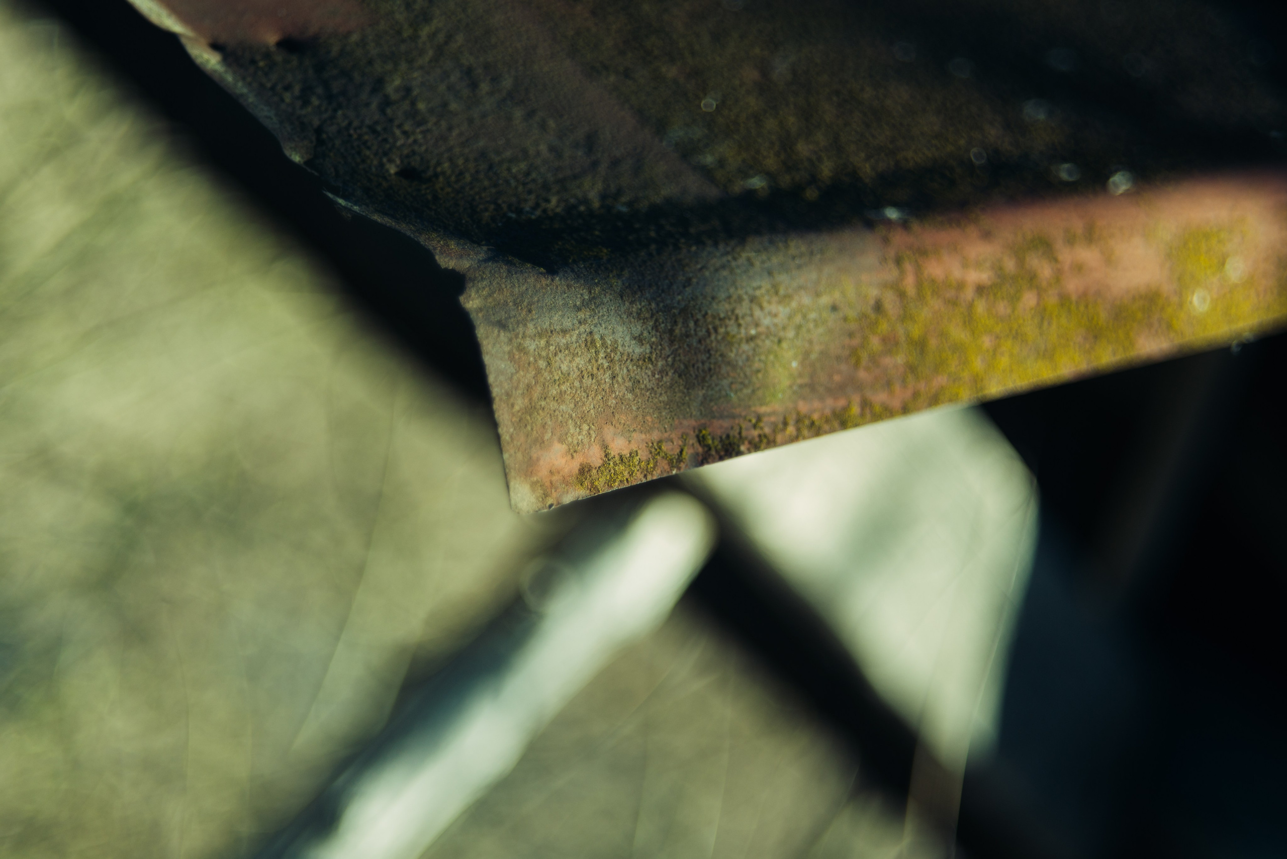 Орановка. Репортажный и портретный фотограф в Липецкой, Воронежской, Московской области Тёма Белоусов