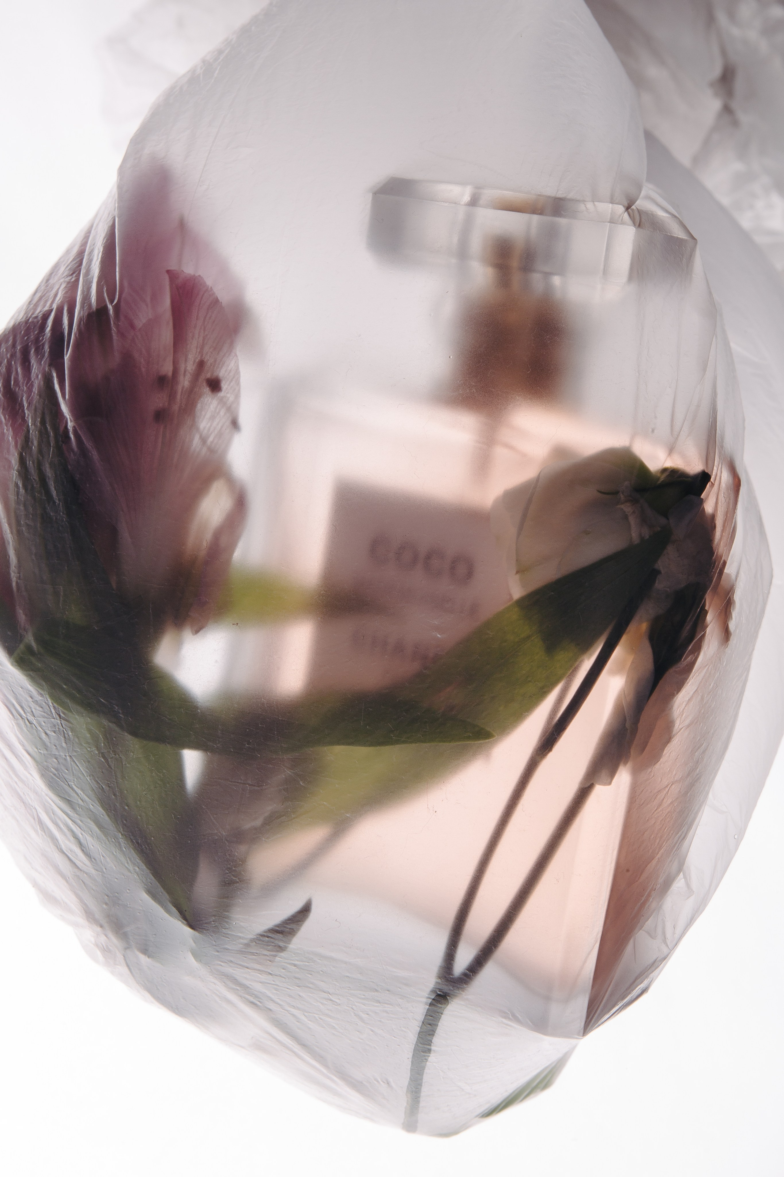 Предметка, каталог, реклама. Анна Оранжевая — фотограф | съёмки про жизнь, состояние и настоящие эмоции