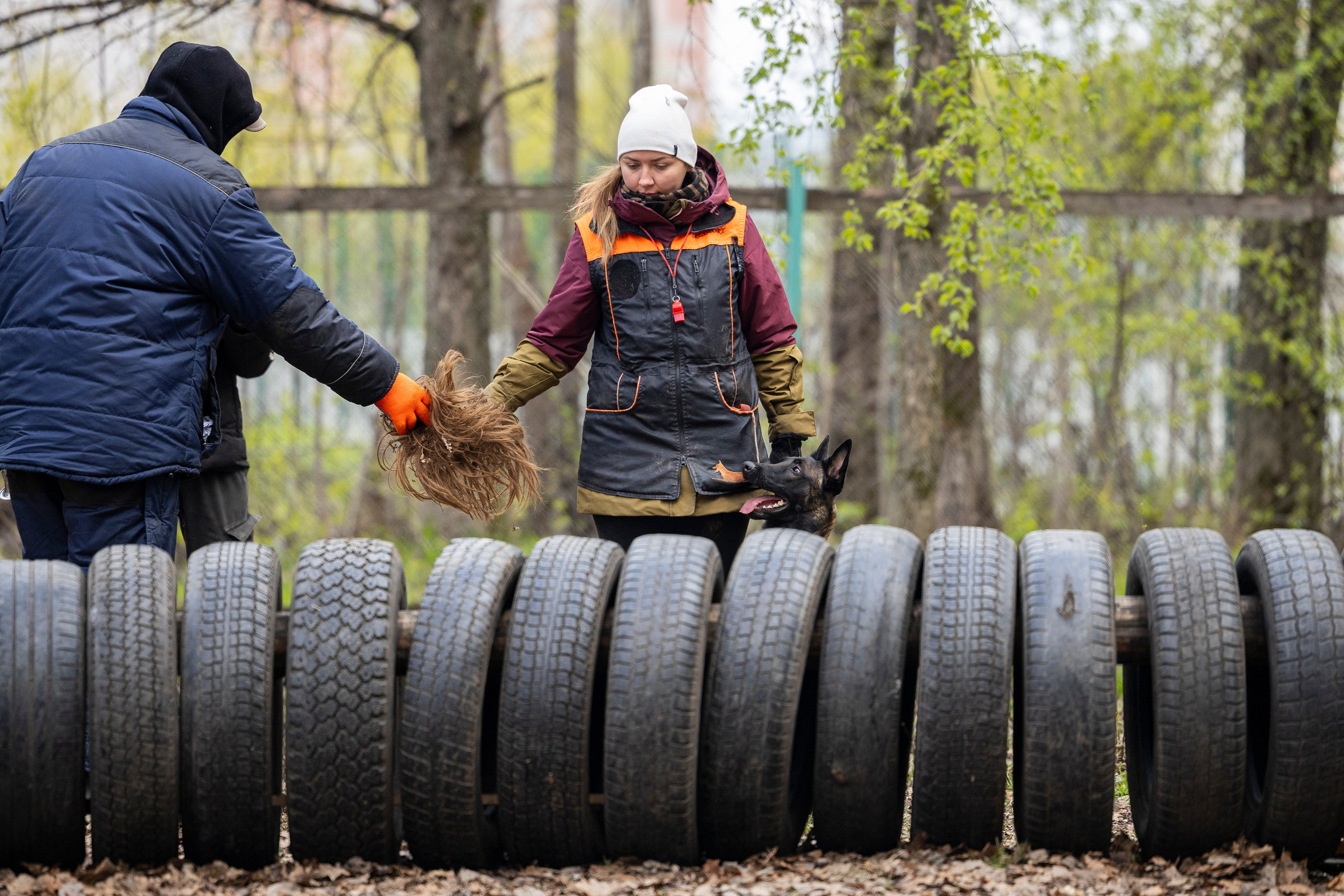 Квалификационные состязания по мондьорингу г. Вологда 11.05.24. Фотограф-анималист Анна Маринич