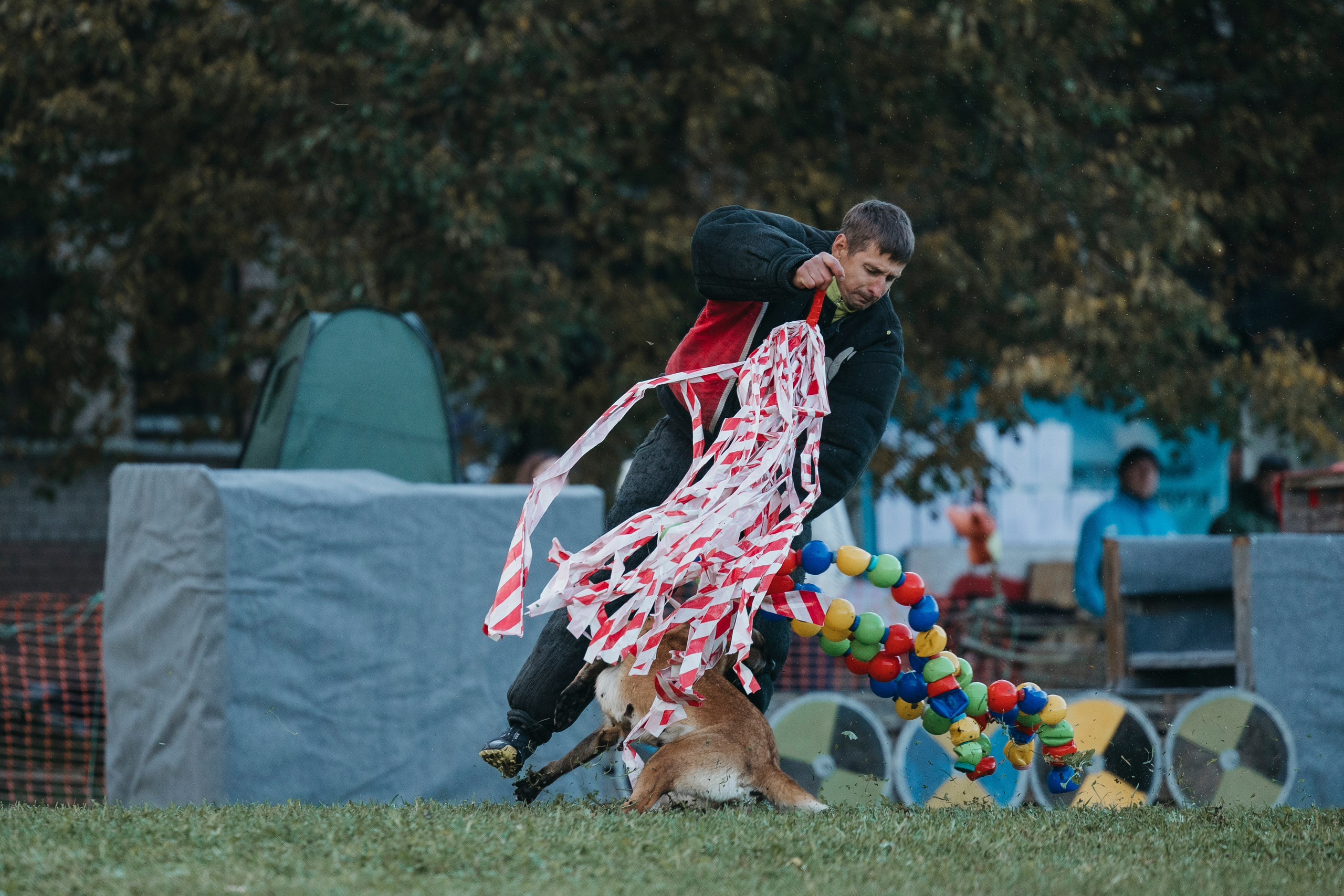 Испытания по мондьорингу г. Пушкин 29.09.2024. Фотограф-анималист Анна Маринич