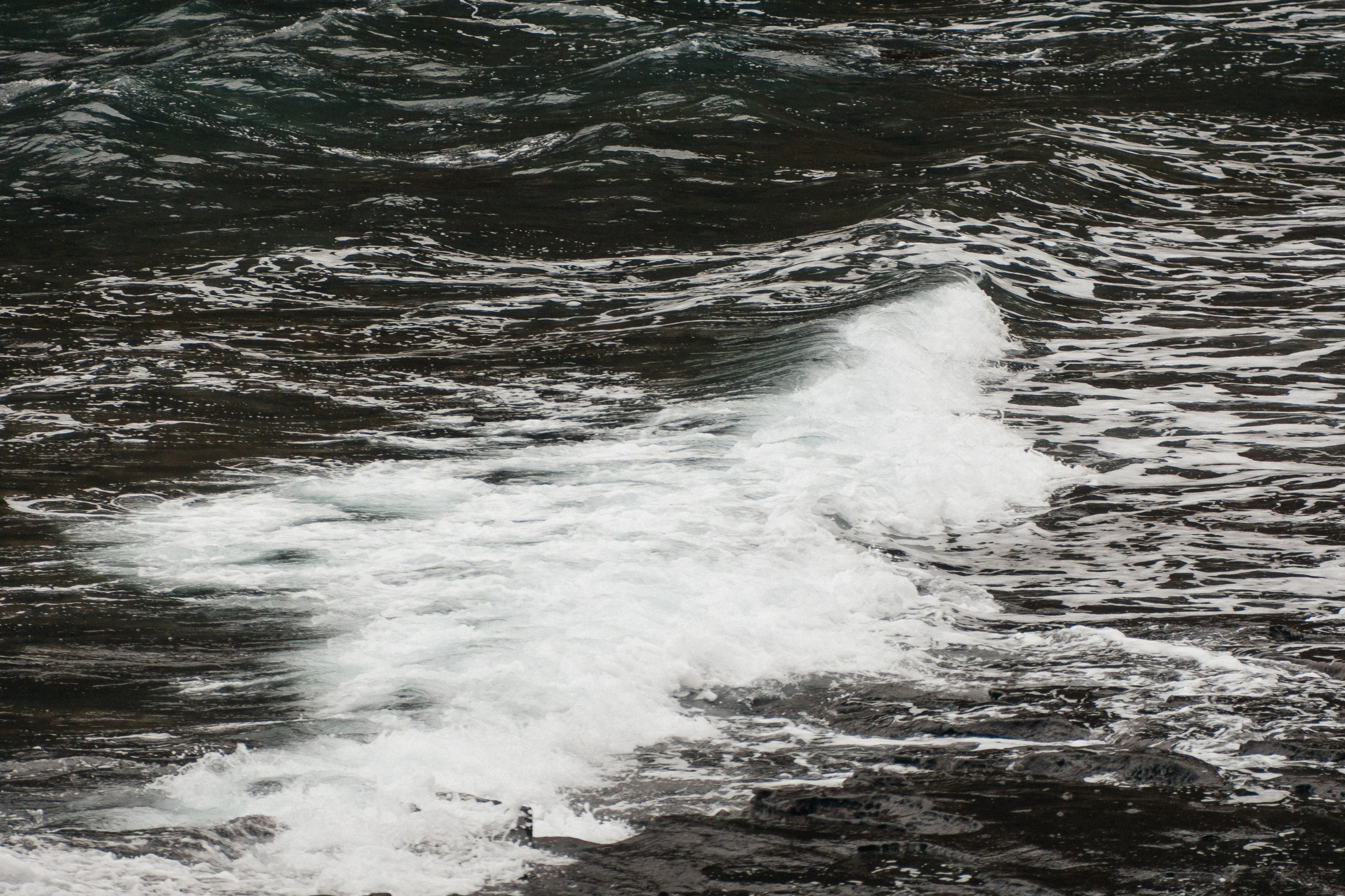 Jeju, South Korea. Свадебный фотограф Москва и МО Паншина Дарья