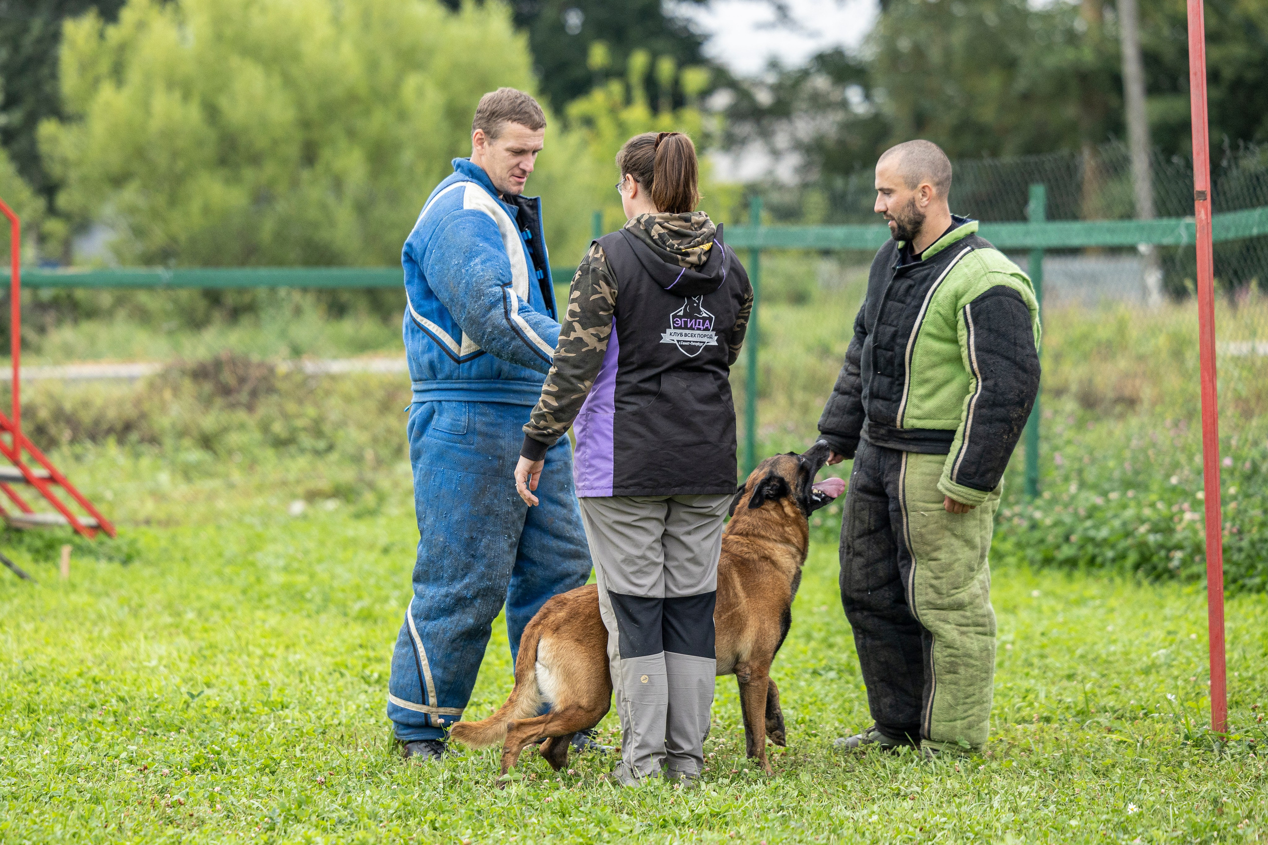 Соревнования по Мондьорингу г. Вологда 10-11.08.2024. Фотограф-анималист Анна Маринич