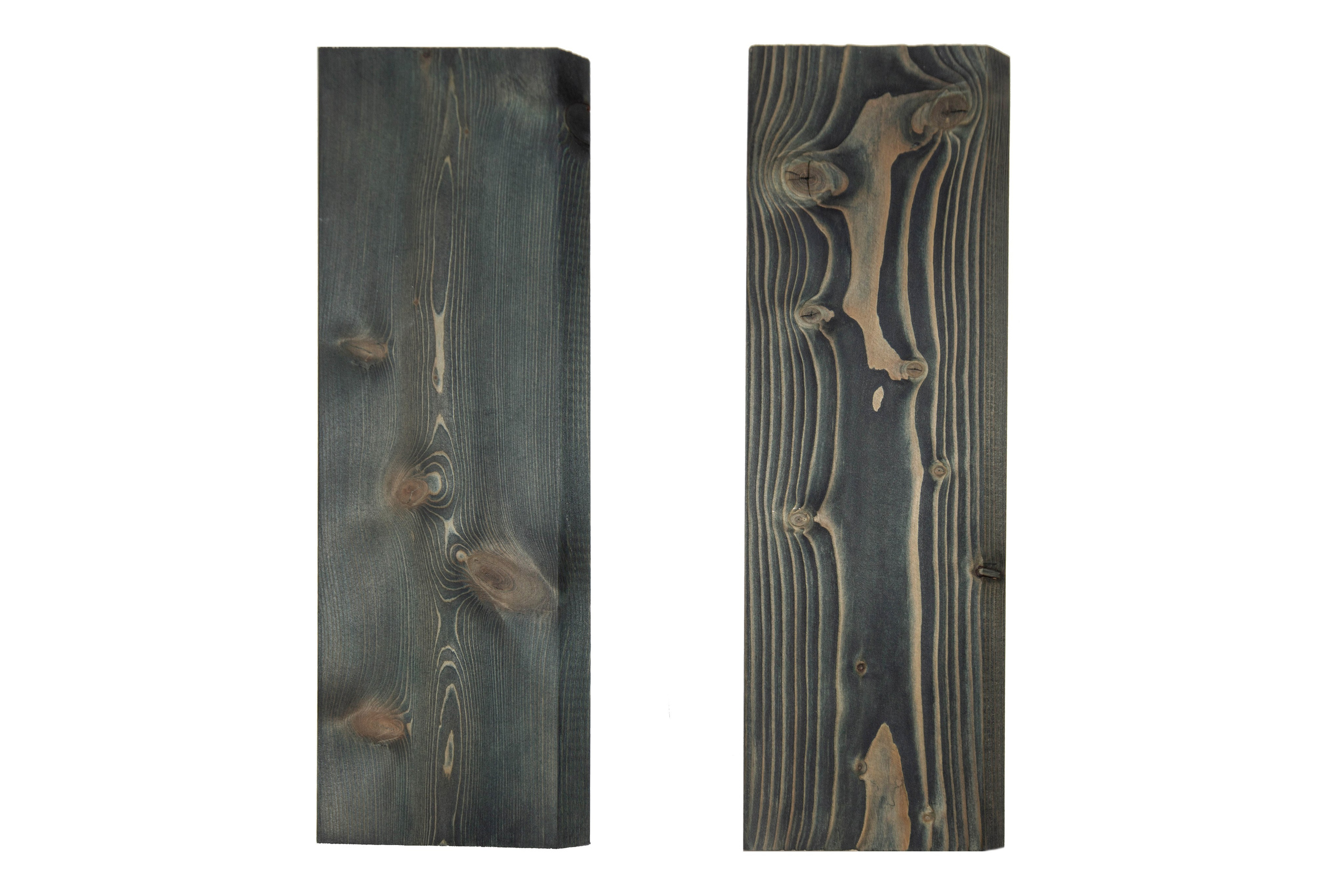 Дерево. Фотограф