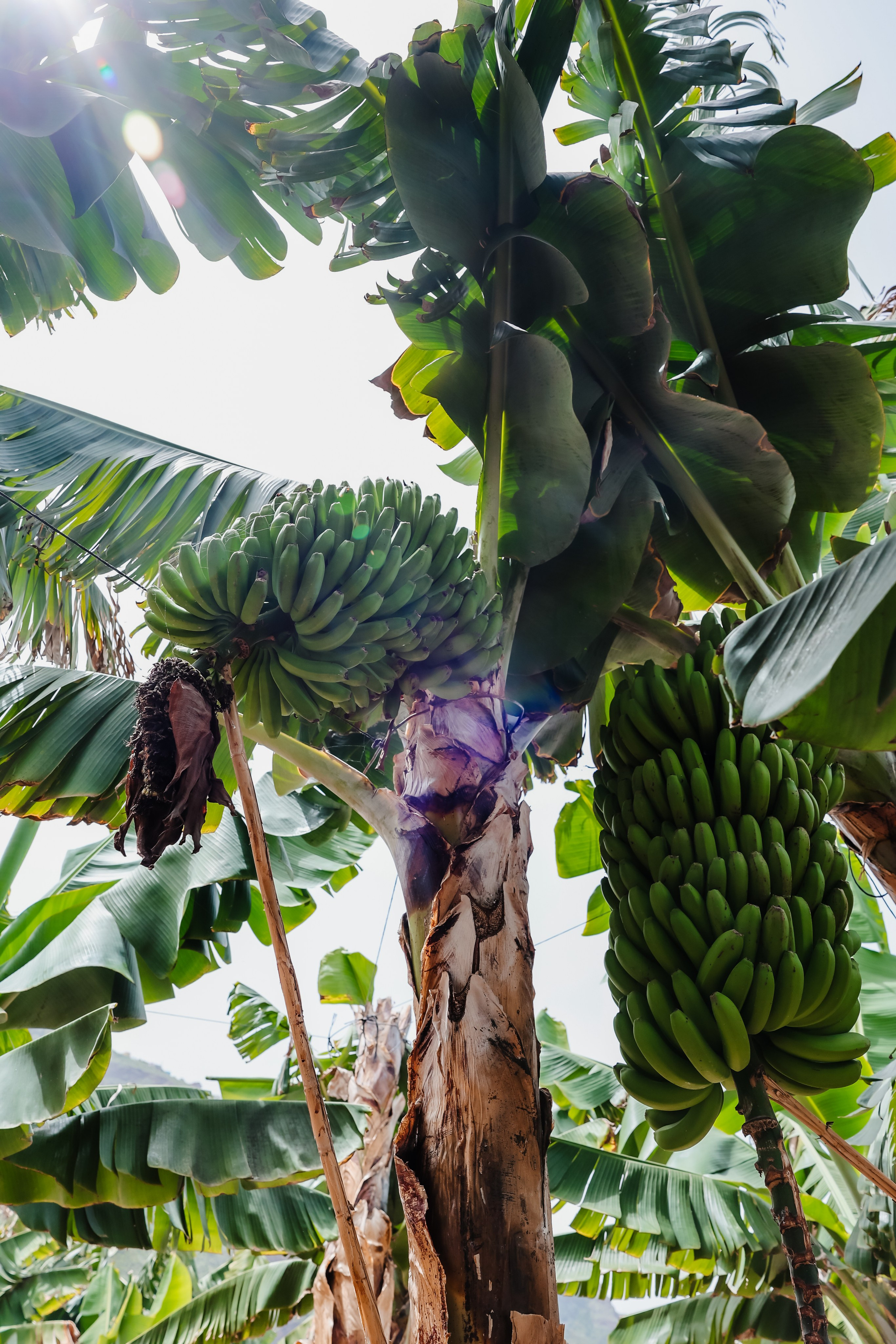 Casa Catuja. Фотограф Виктория Волкова. Москва