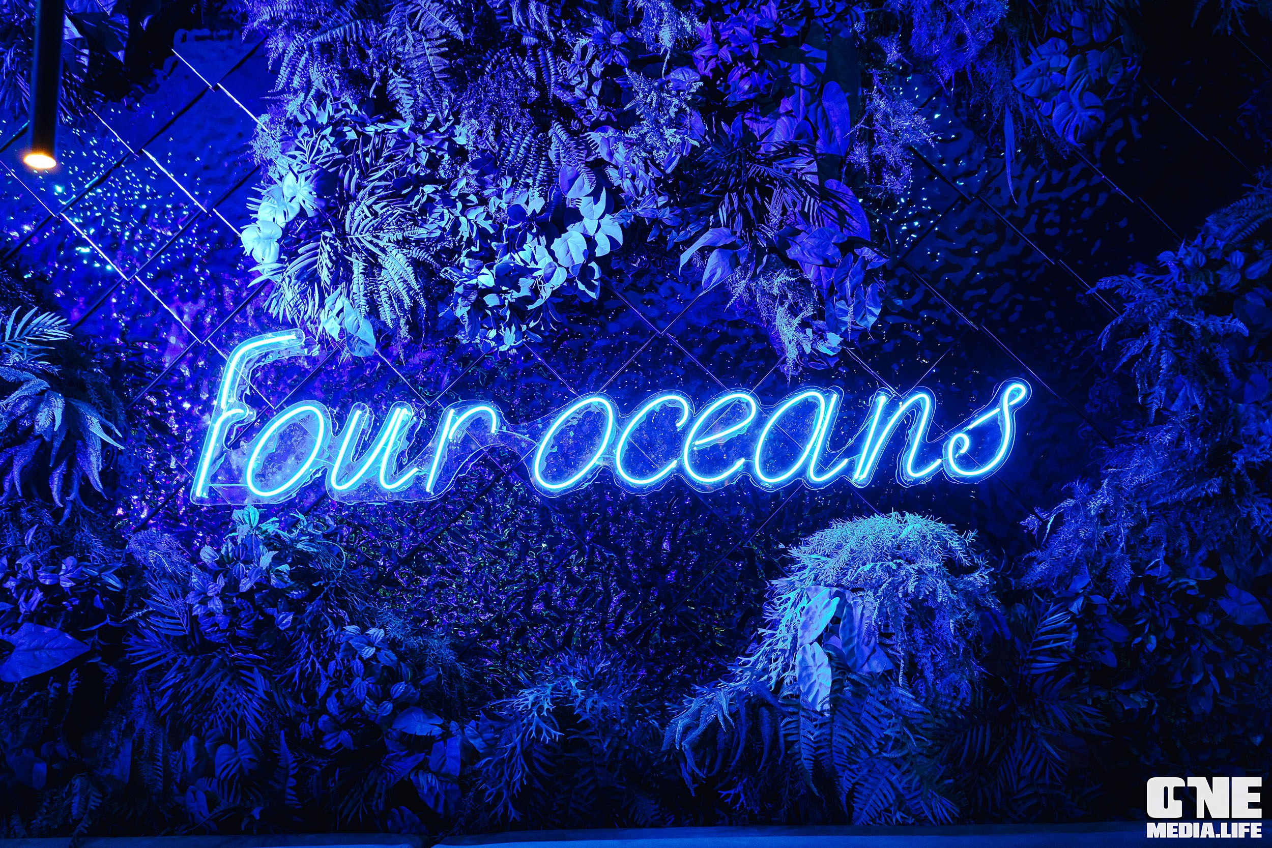 Фоторепортаж из ресторана Океан. One Media Life: фоторепортажи, фотоотчеты с мероприятий и заведений