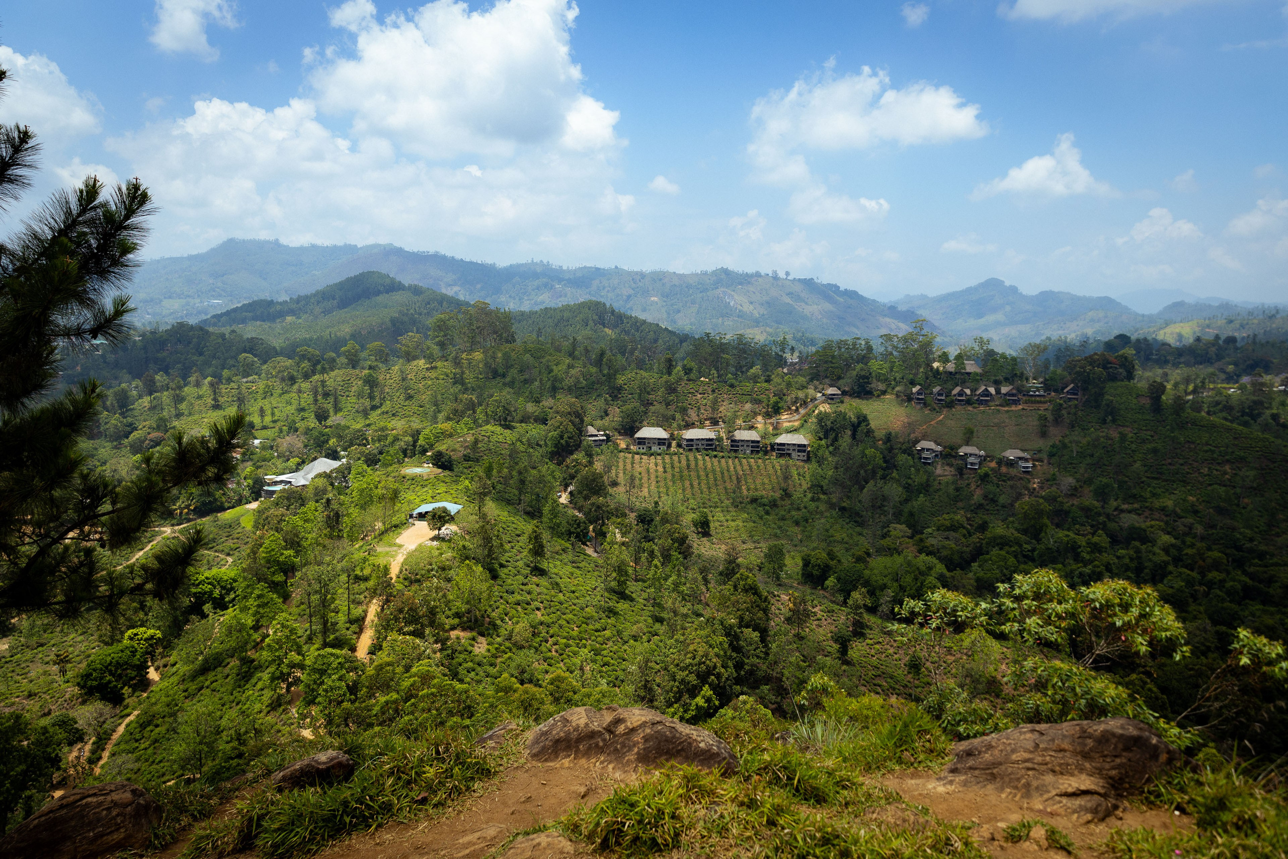 Шри-Ланка (весна 2024). Фотограф Виноградов Константин