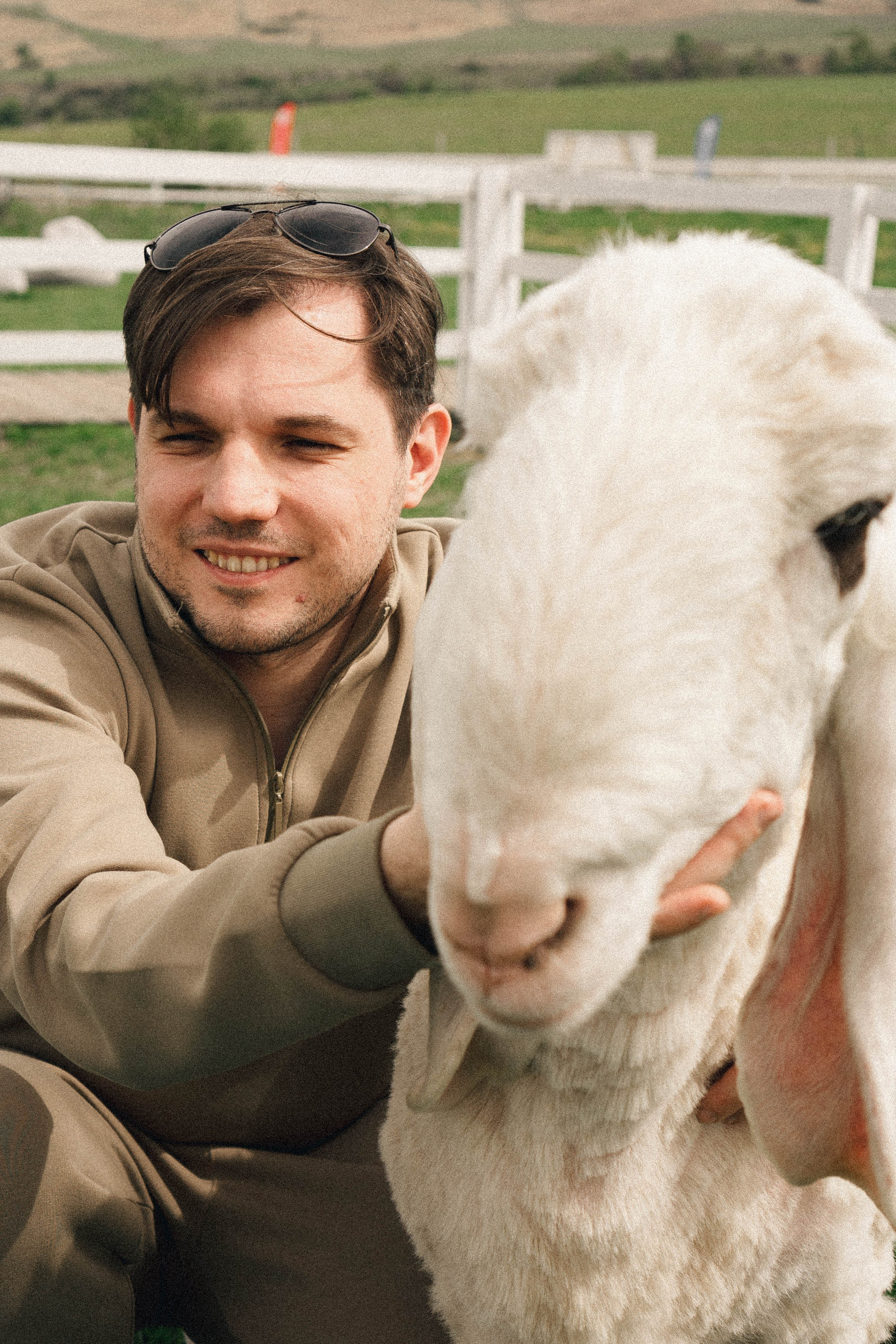 Ферма Альпак. Профессиональный фотограф, Санкт-Петербург — Виктория Богомолова