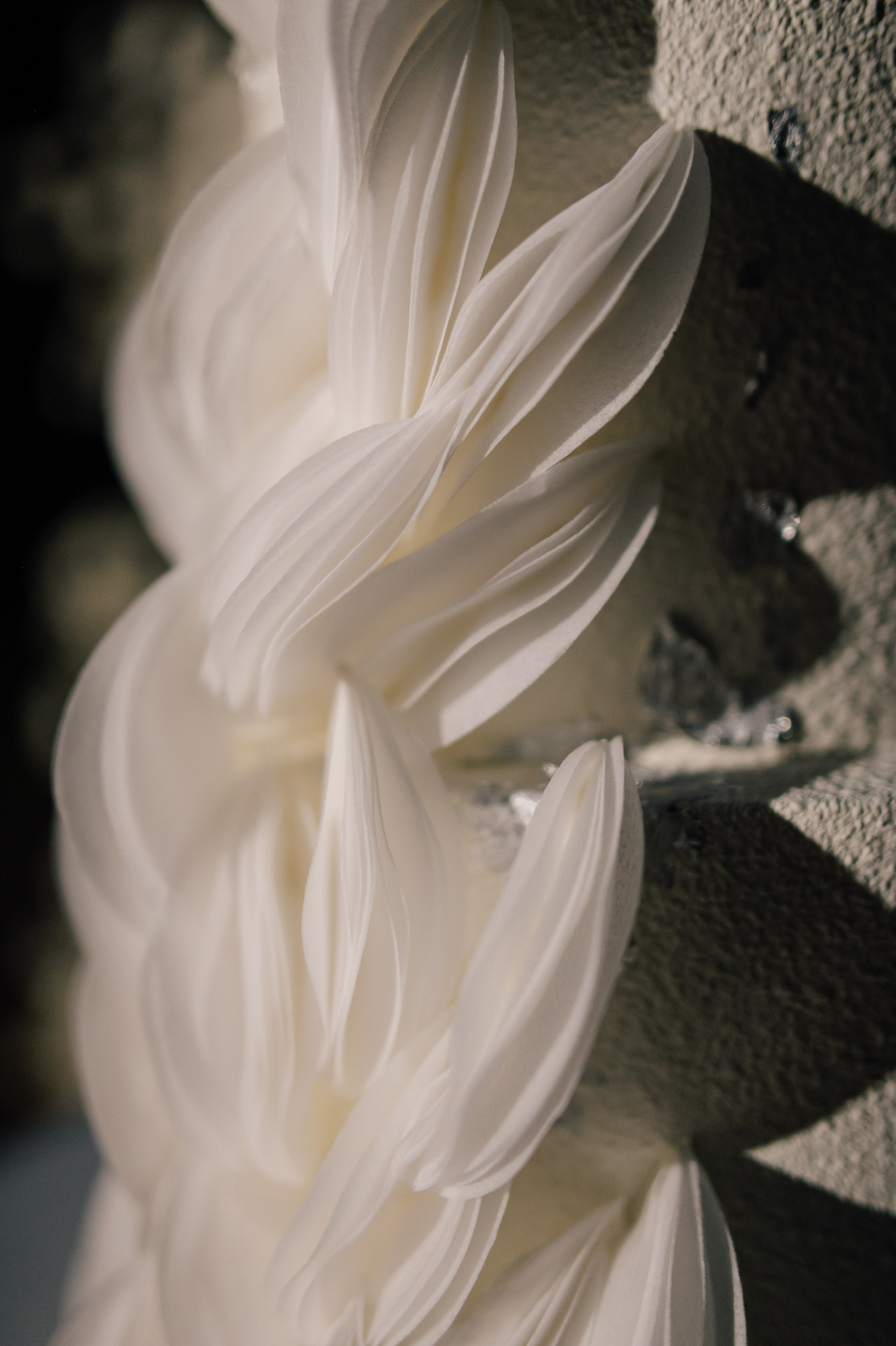 Nadia and Zhenya. Свадебный и семейный фотограф Вероника Холод