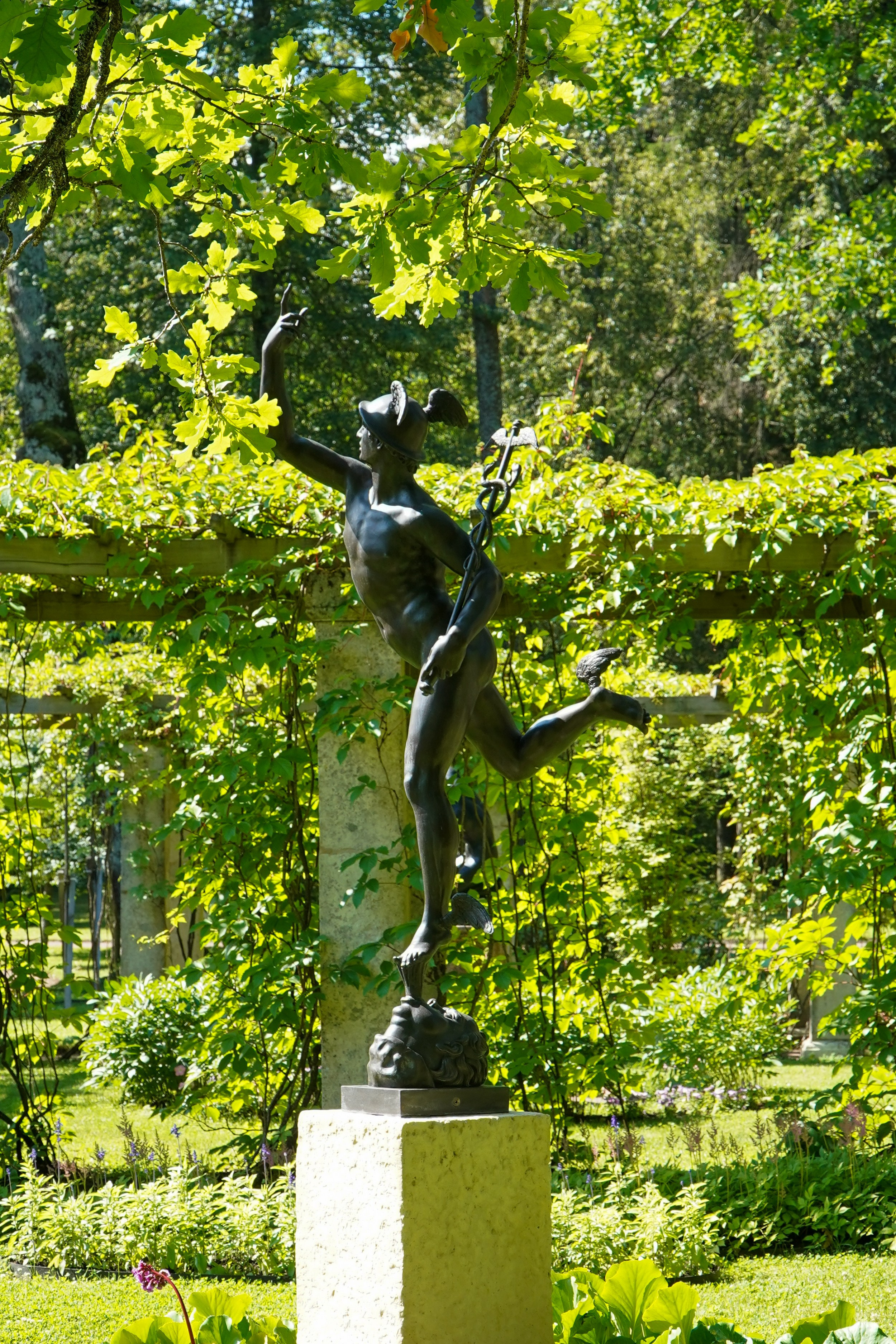 ОРАНИЕНБАУМ. Июль 2024. Фотограф Наталья Погодина в г. Обнинске