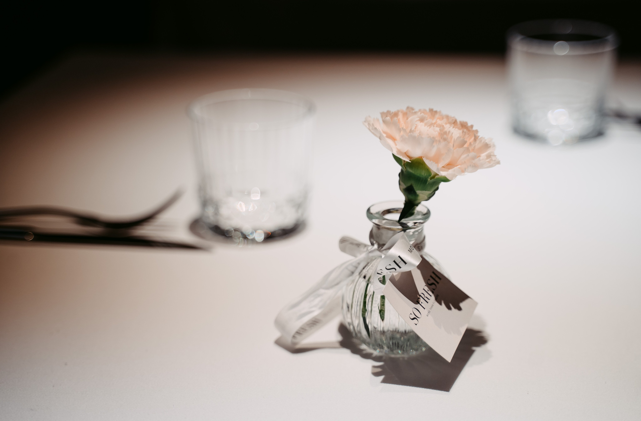 Avocado Queen / сеть ресторанов в Москве и Казани. Саша Копылов, фотограф в Казани