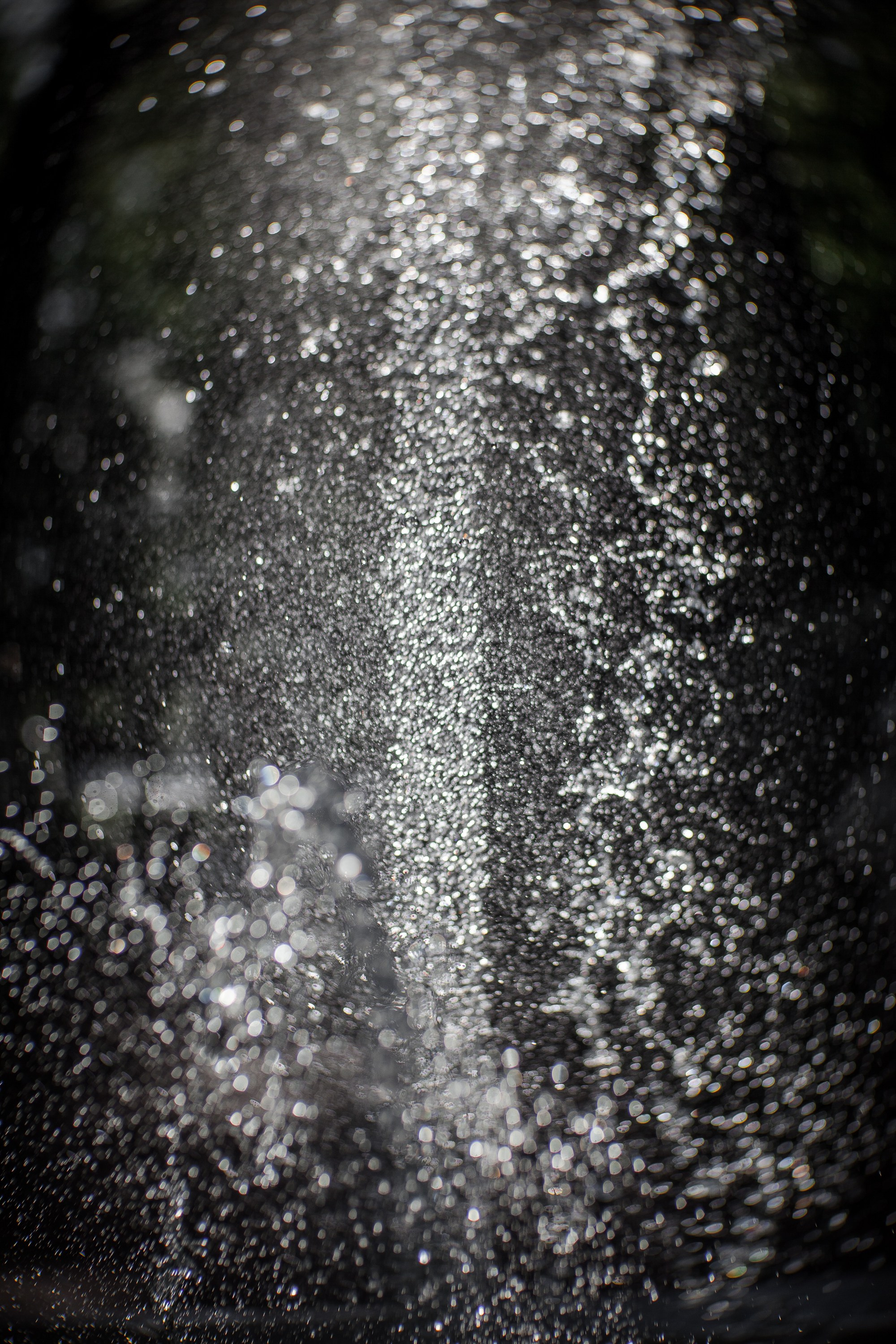 «Летний сад- моими глазами…». Туманов Виталий — фотограф Москва