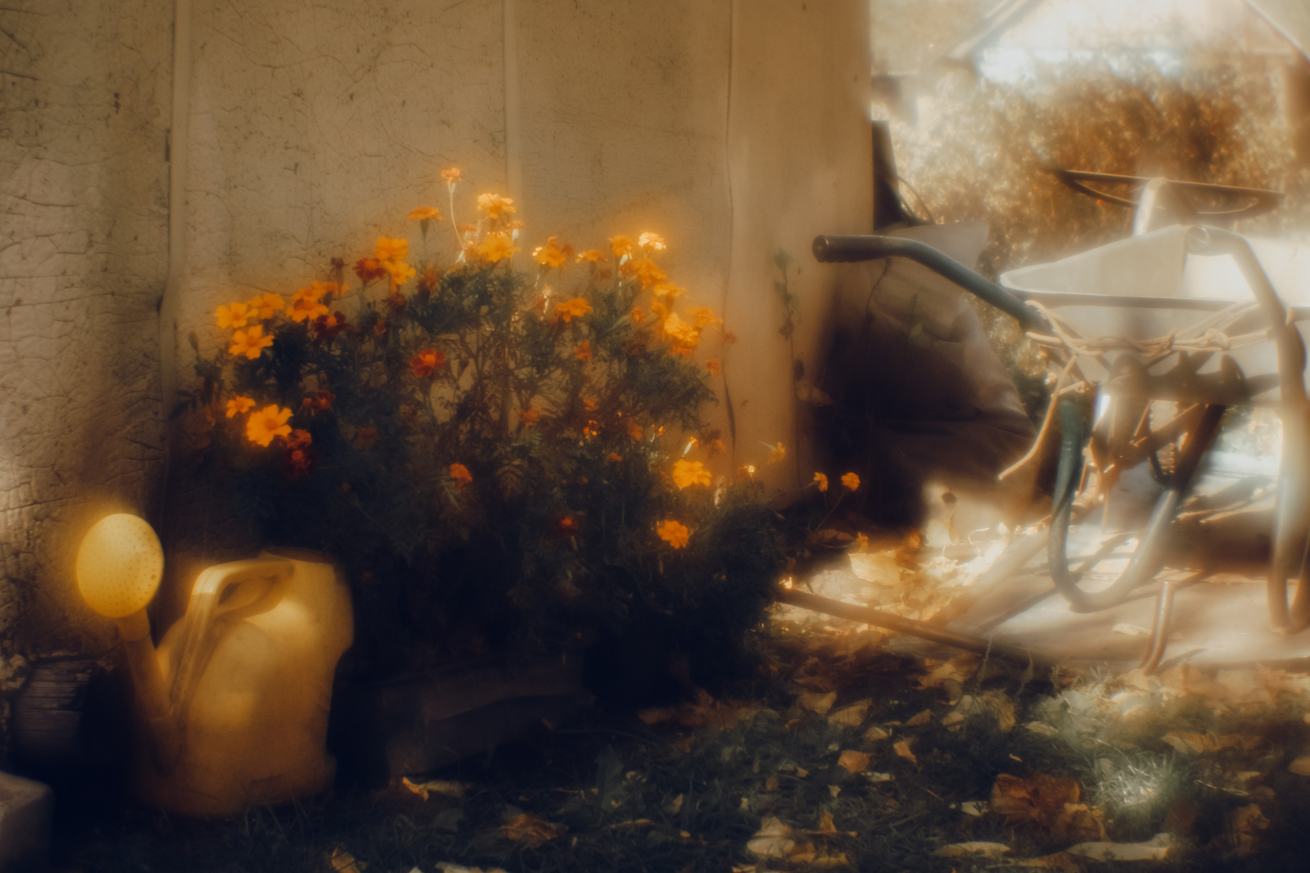 Поэзия повседневности. Семейный фотограф в Москве Марина Аргунова