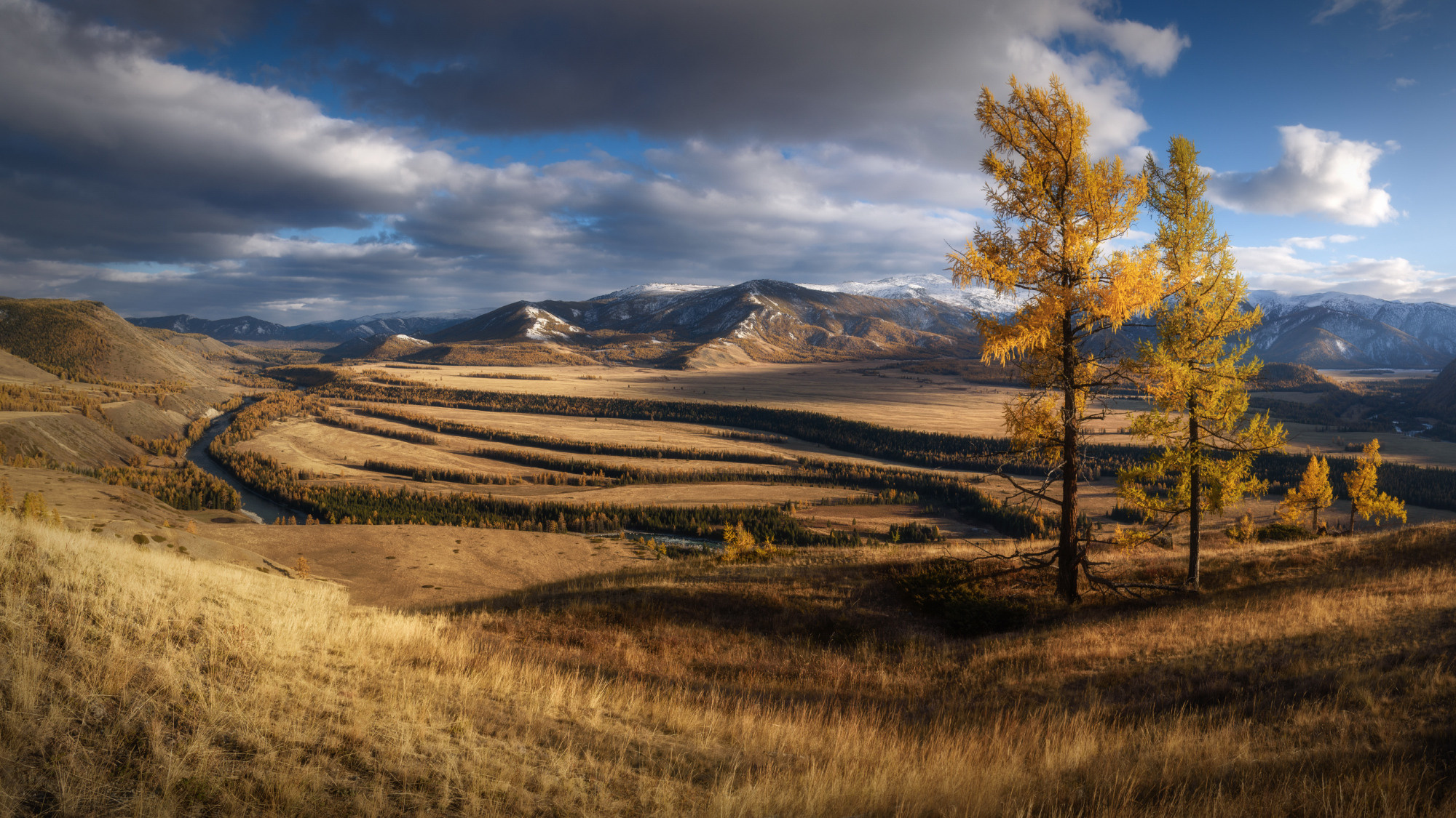 Параллели осени. Автор фото Алена Рубан