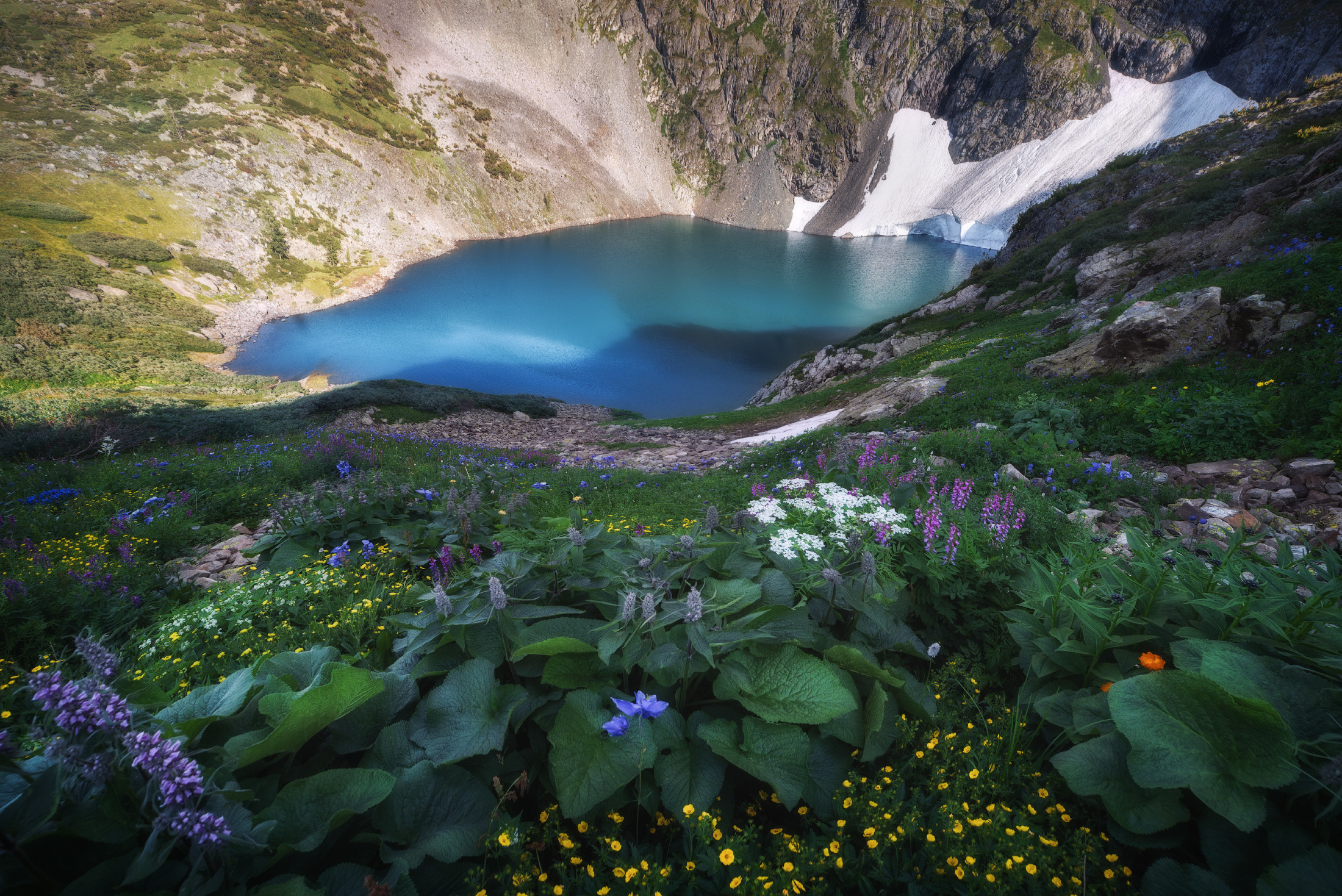 Сад цветов Красной горы. Второе озеро Красной горы и более 11 видов цветковых растений на одном снимке. Усть-Коксинский район, июль 2020