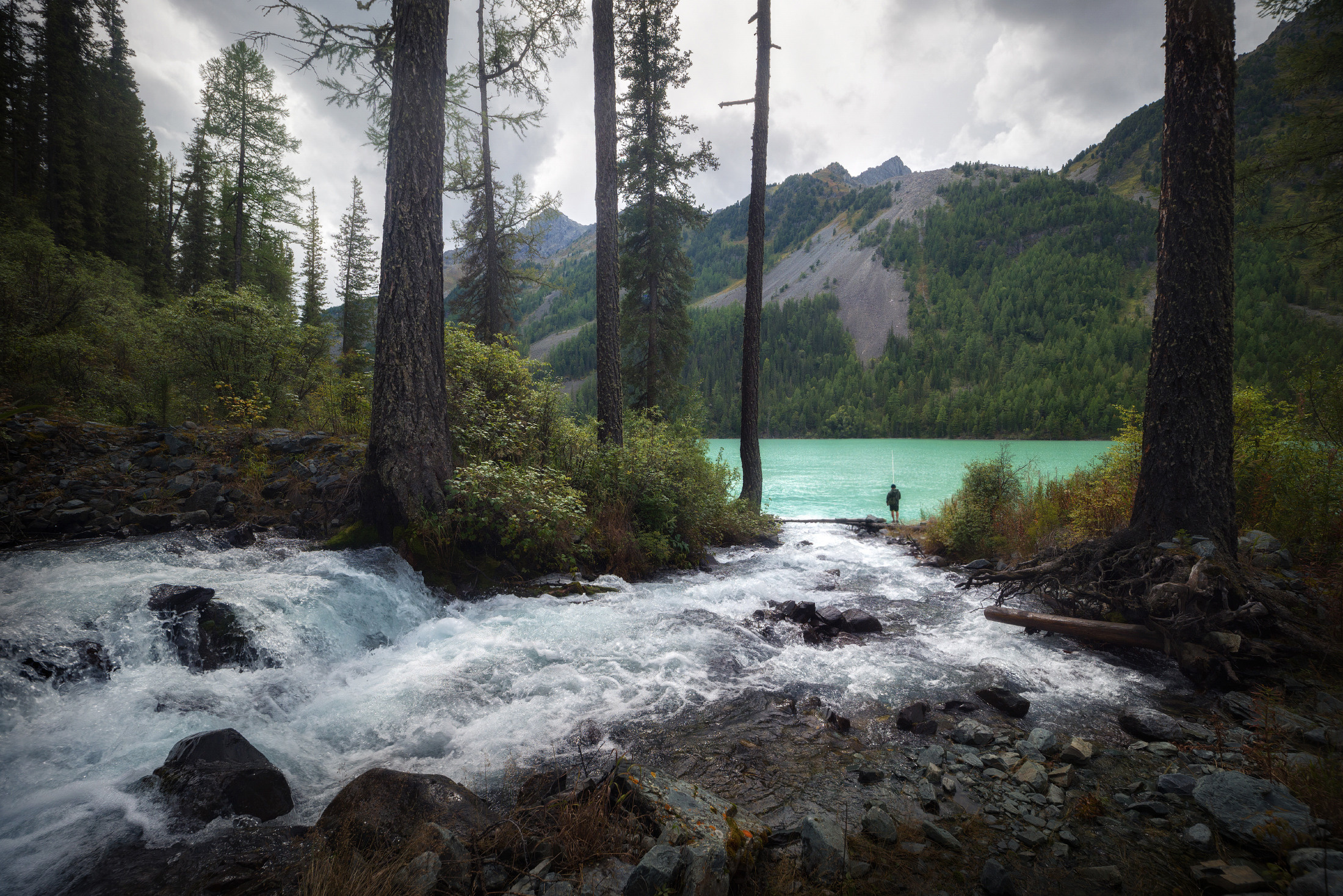 Наедине. Рыбак на берегу Кучерлинского озера, устье реки Зеленой, Усть-Коксинский район, август 2020