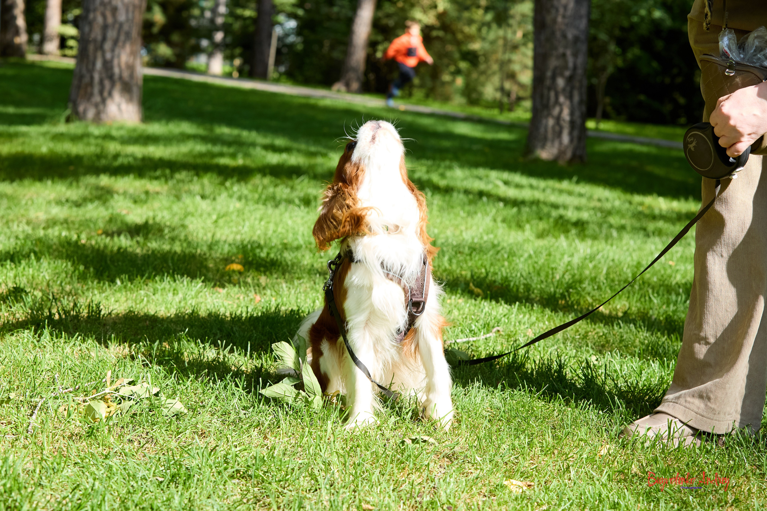 Фотопрогулка с кавалерами. Buyvolenko Andrey