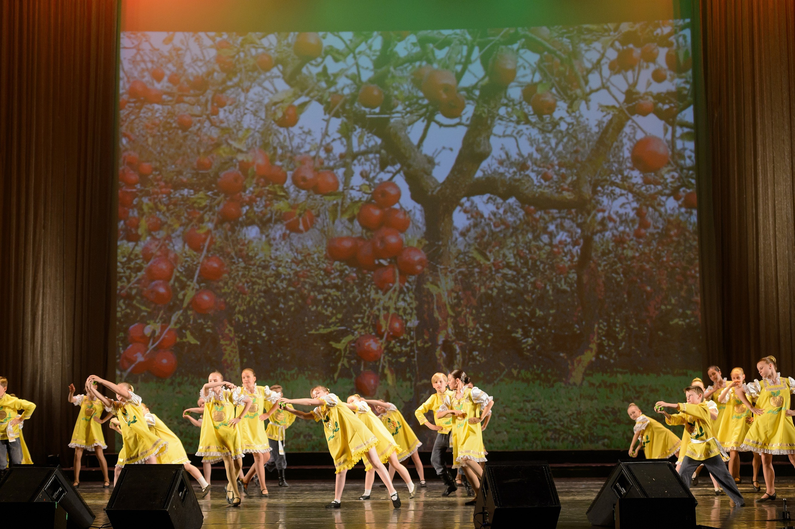 23 мая, концерт 5 лет, БКЗ. Золотое яблочко