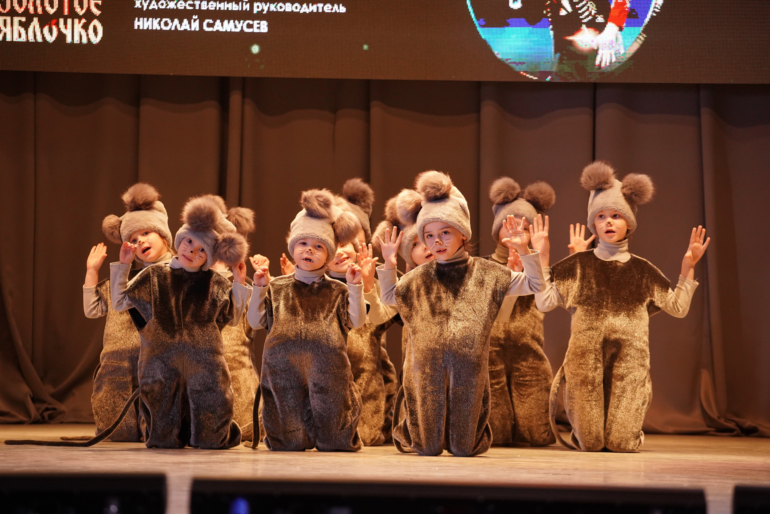 23 февраля, г. Новосибирск. Золотое яблочко