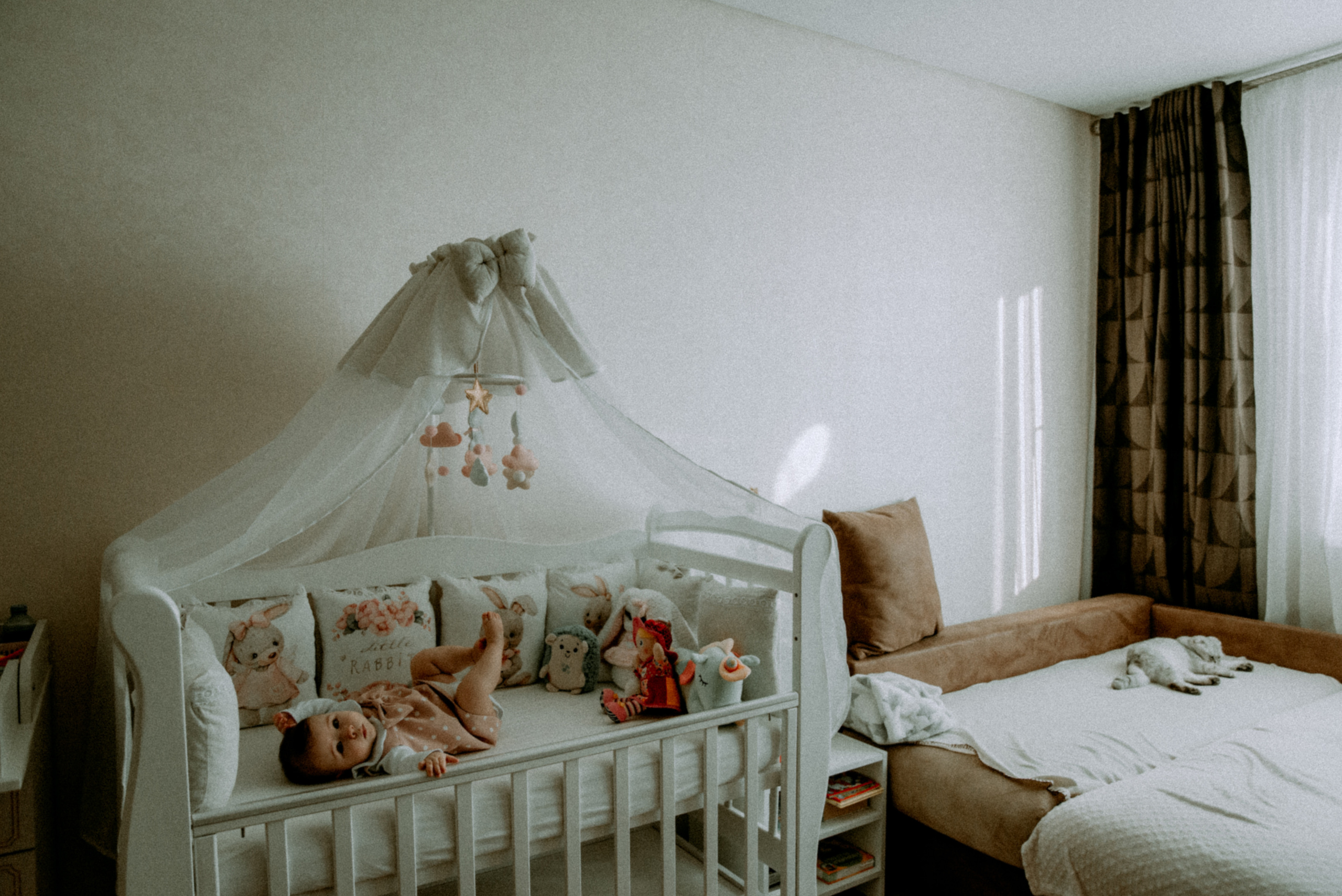 Катя, Дима, Полина. Свадебный фотограф, фотограф беременности Дарья Доценко