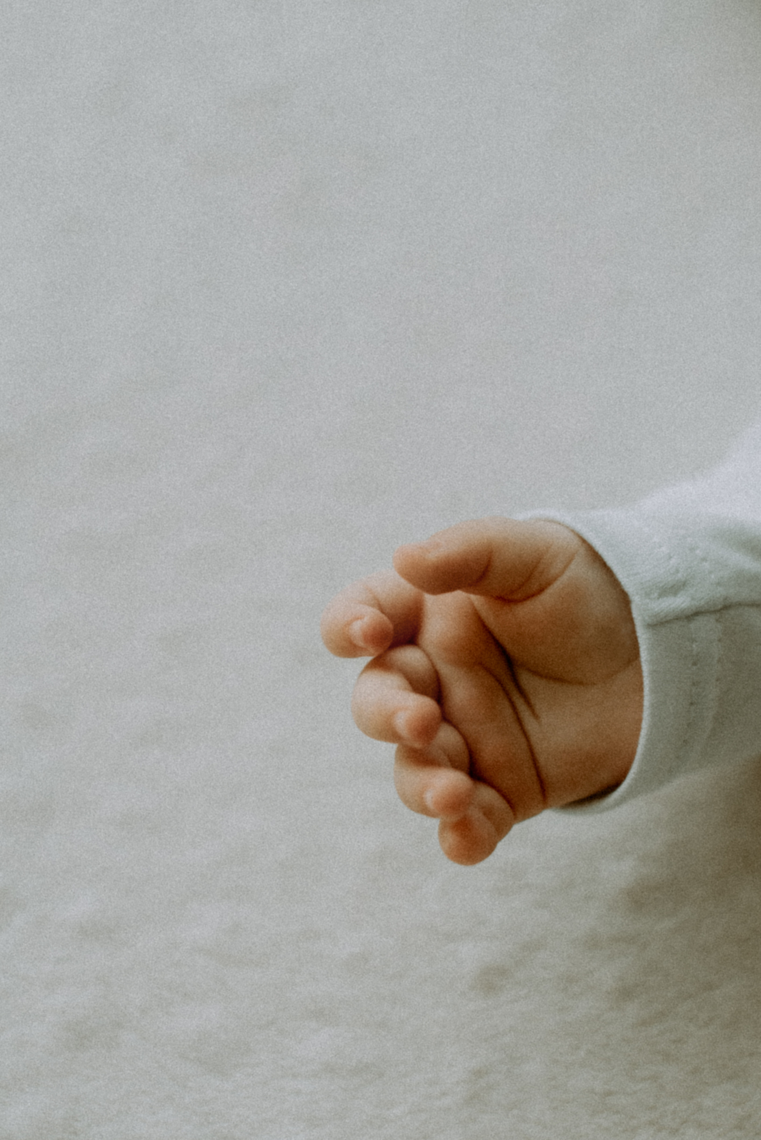 Катя, Дима, Полина. Свадебный фотограф, фотограф беременности Дарья Доценко