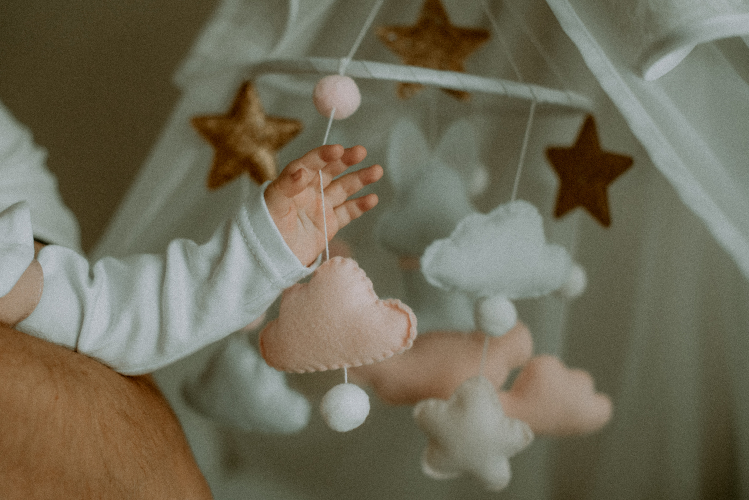 Катя, Дима, Полина. Свадебный фотограф, фотограф беременности Дарья Доценко