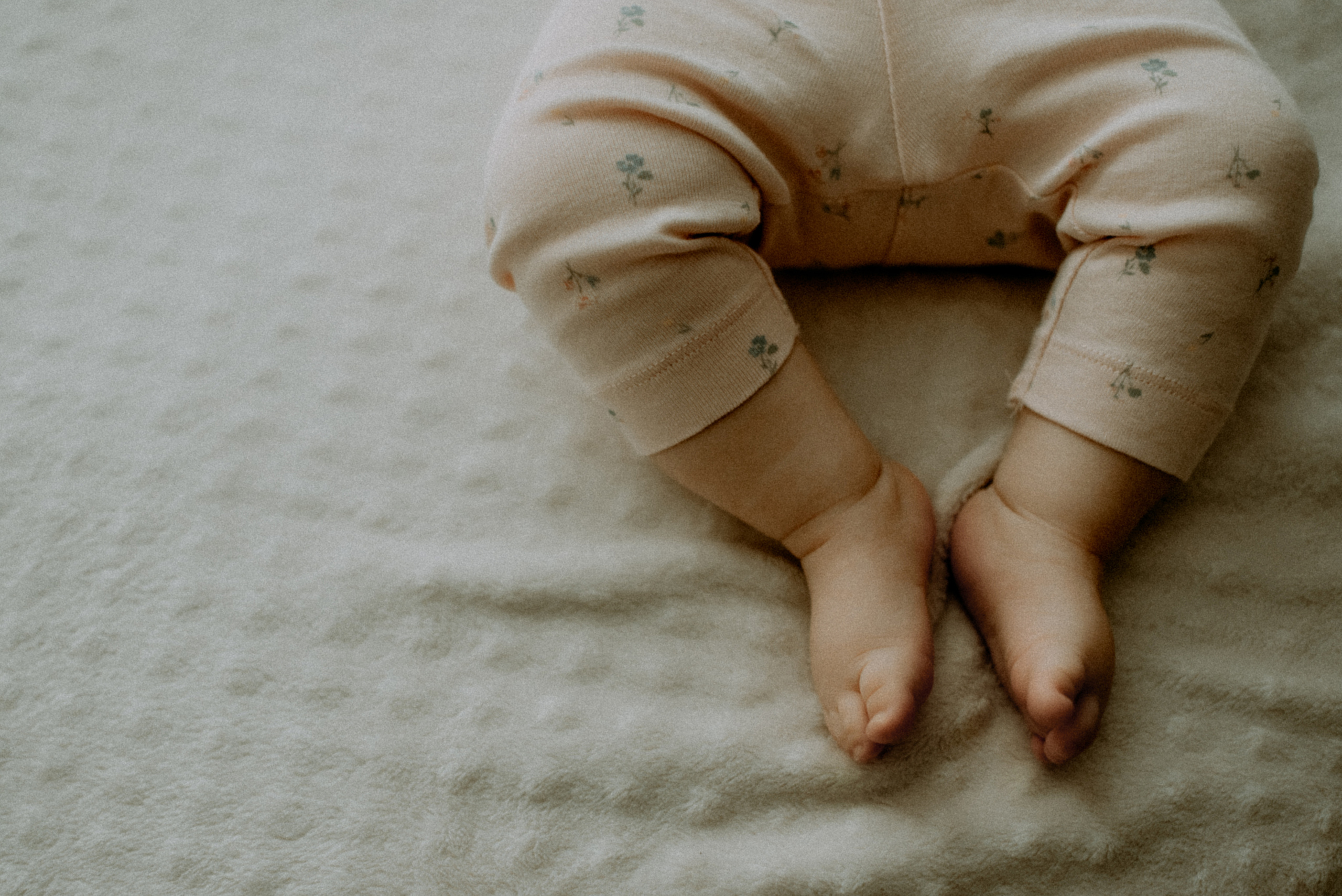 Катя, Дима, Полина. Свадебный фотограф, фотограф беременности Дарья Доценко