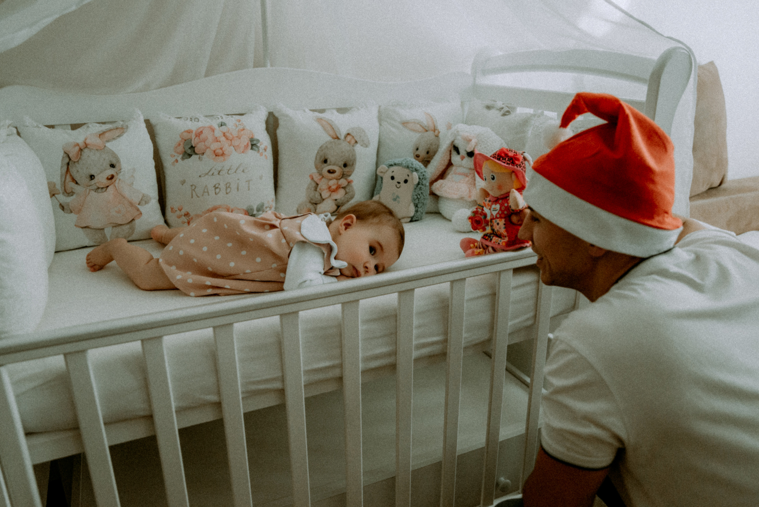 Катя, Дима, Полина. Свадебный фотограф, фотограф беременности Дарья Доценко